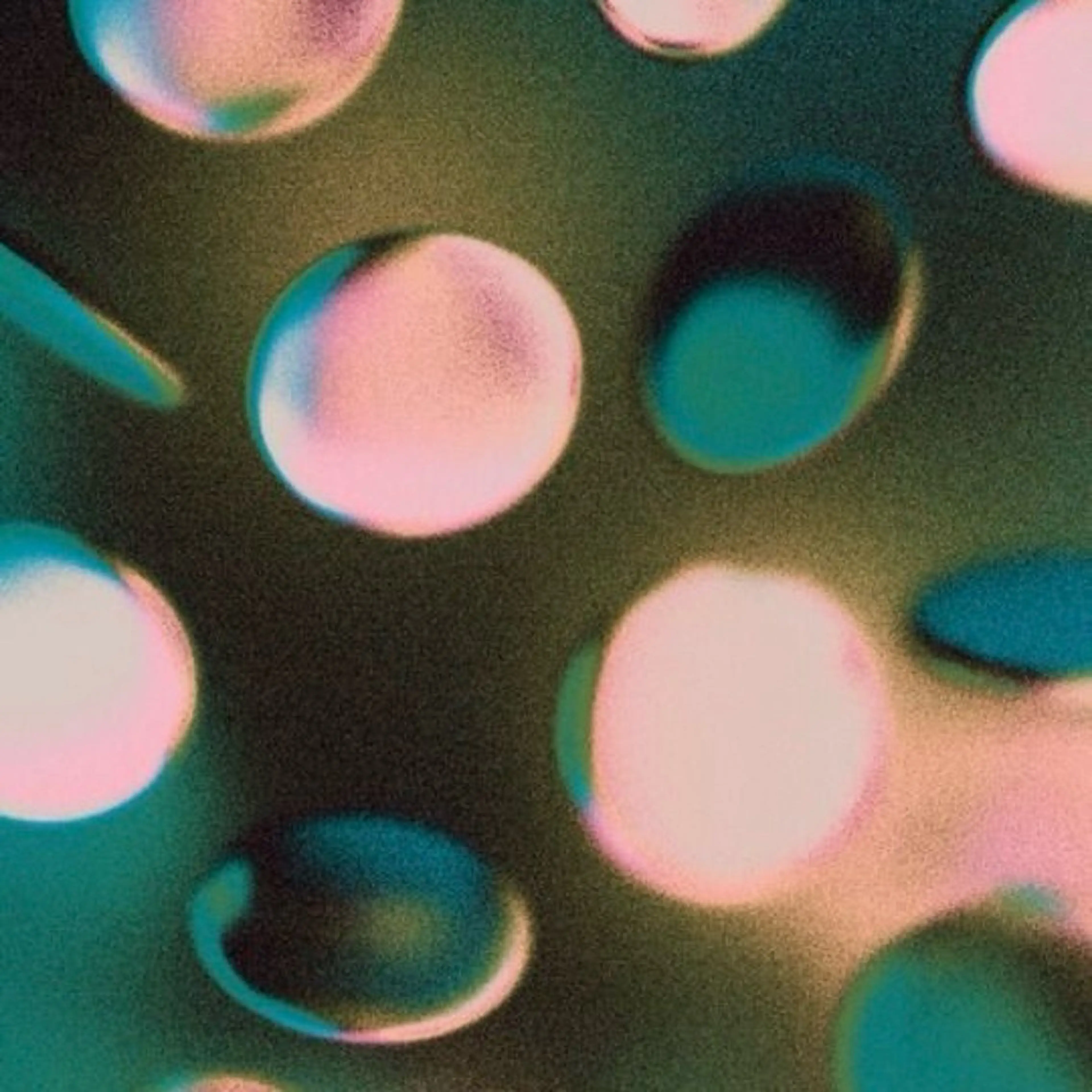 ミディアム カラー ☆RUO☆/レイヤー /ハイトーンのヘアスタイル