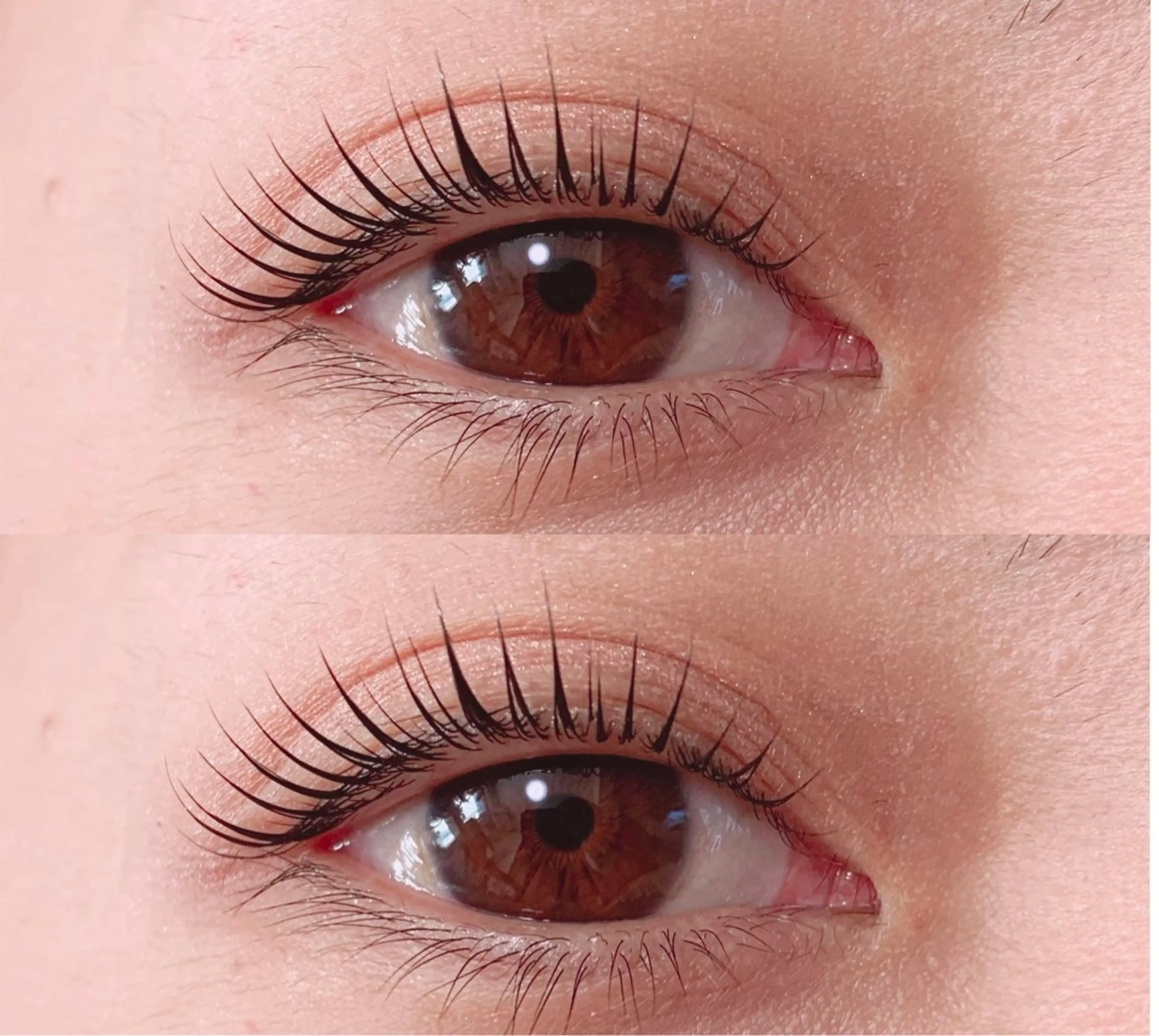 【平日限定】ラッシュリフト《3stepトリートメント、アイシャンプー付き》の写真