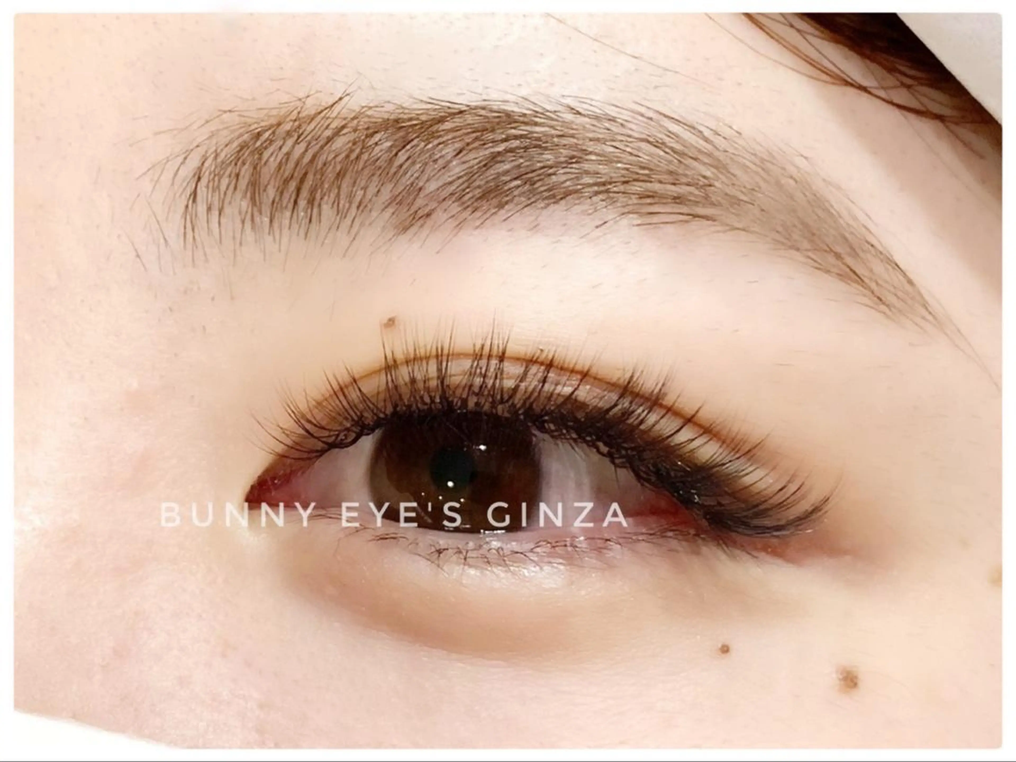 マツエク・マツパ Bunny eyes 吉田の眉毛・アイブロウイメージ