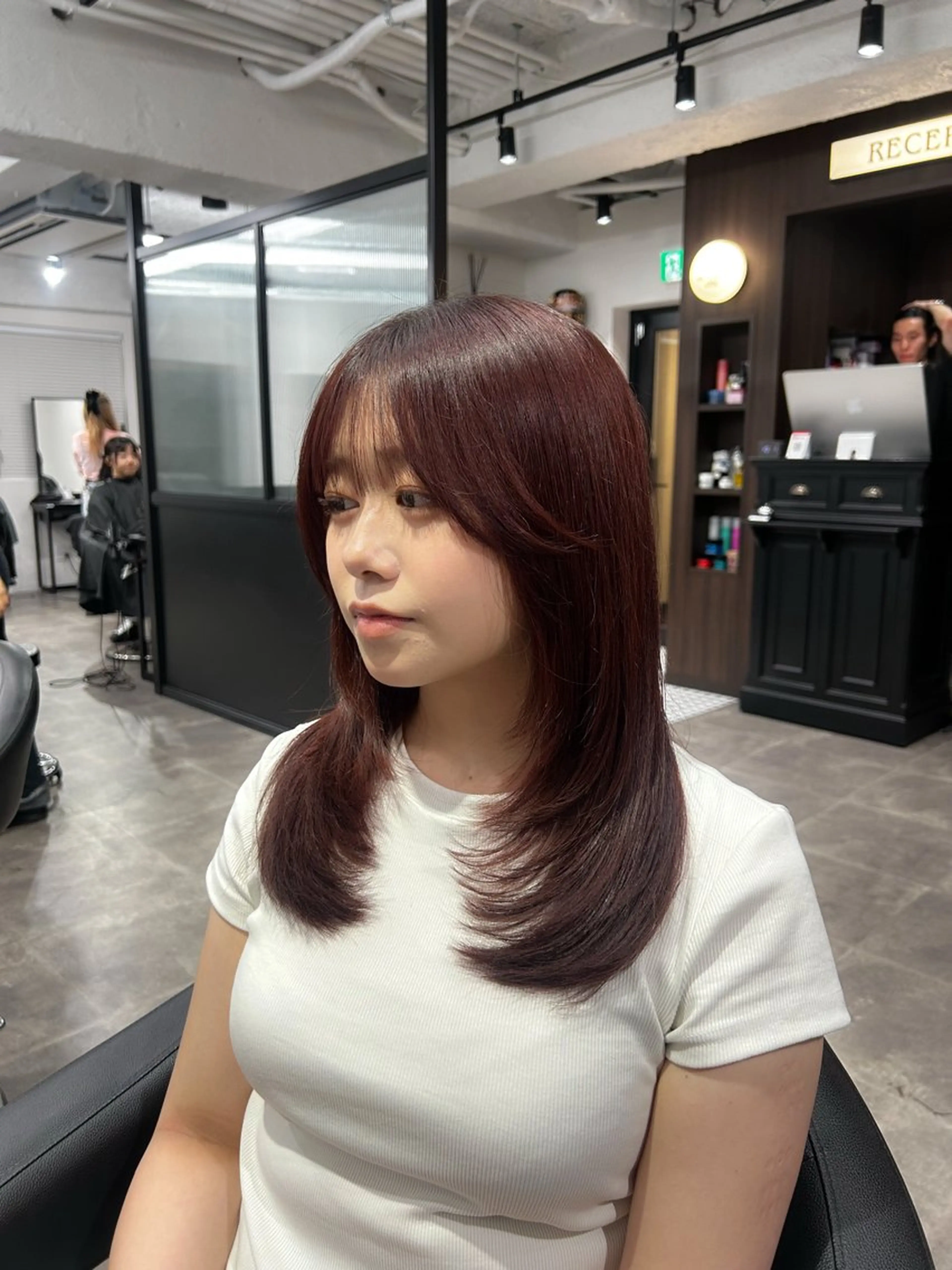 セミロング カラー ヘアアレンジ ヘアカラー トリートメント ヘアセット ブリーチなしカラー/ ブラウン/レイヤーのヘアスタイル