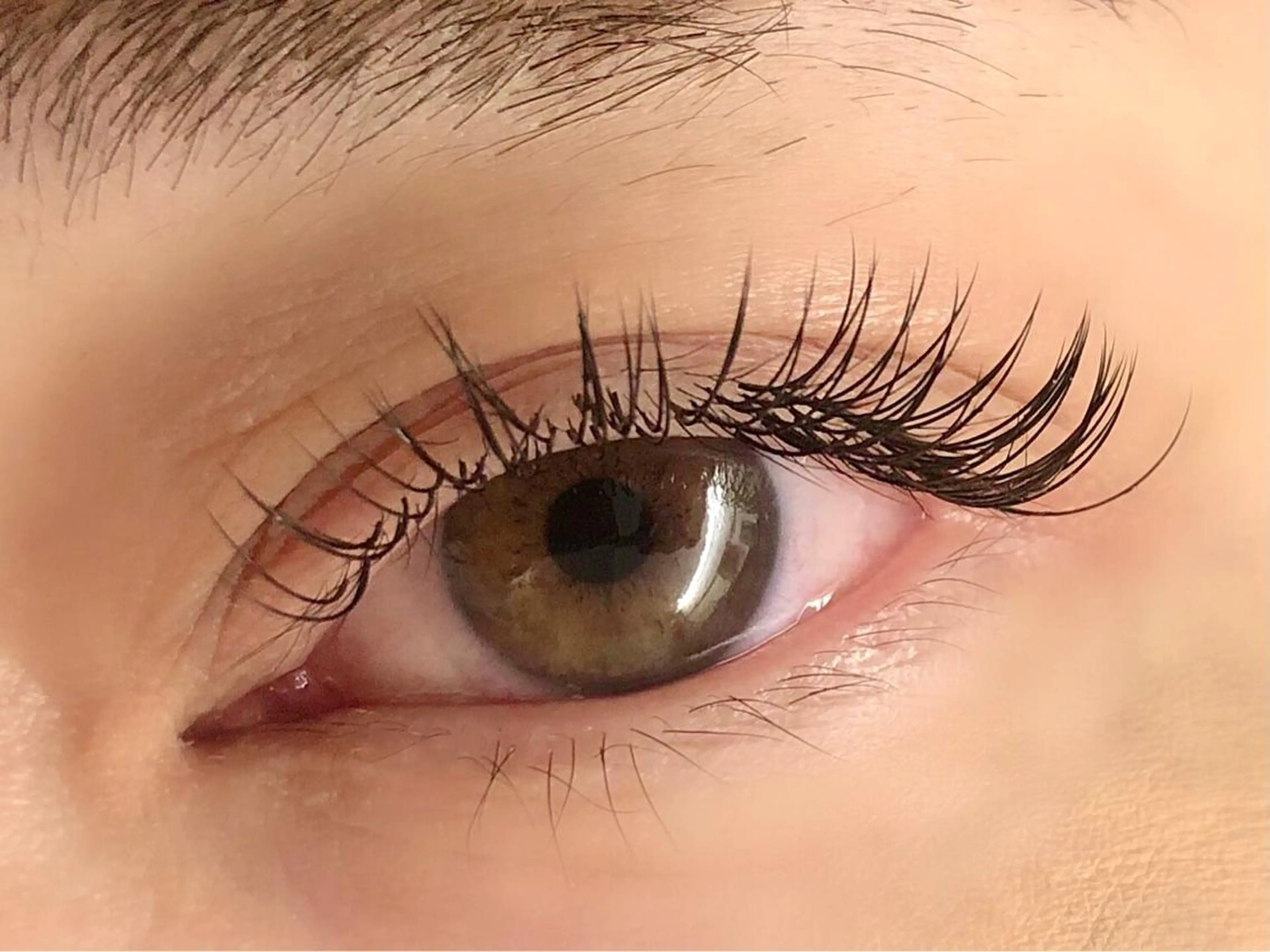 選べる❣️【120本】フラットラッシュor最高級抗菌シルクセーブル✨オフ込み/コーティング付✨の写真