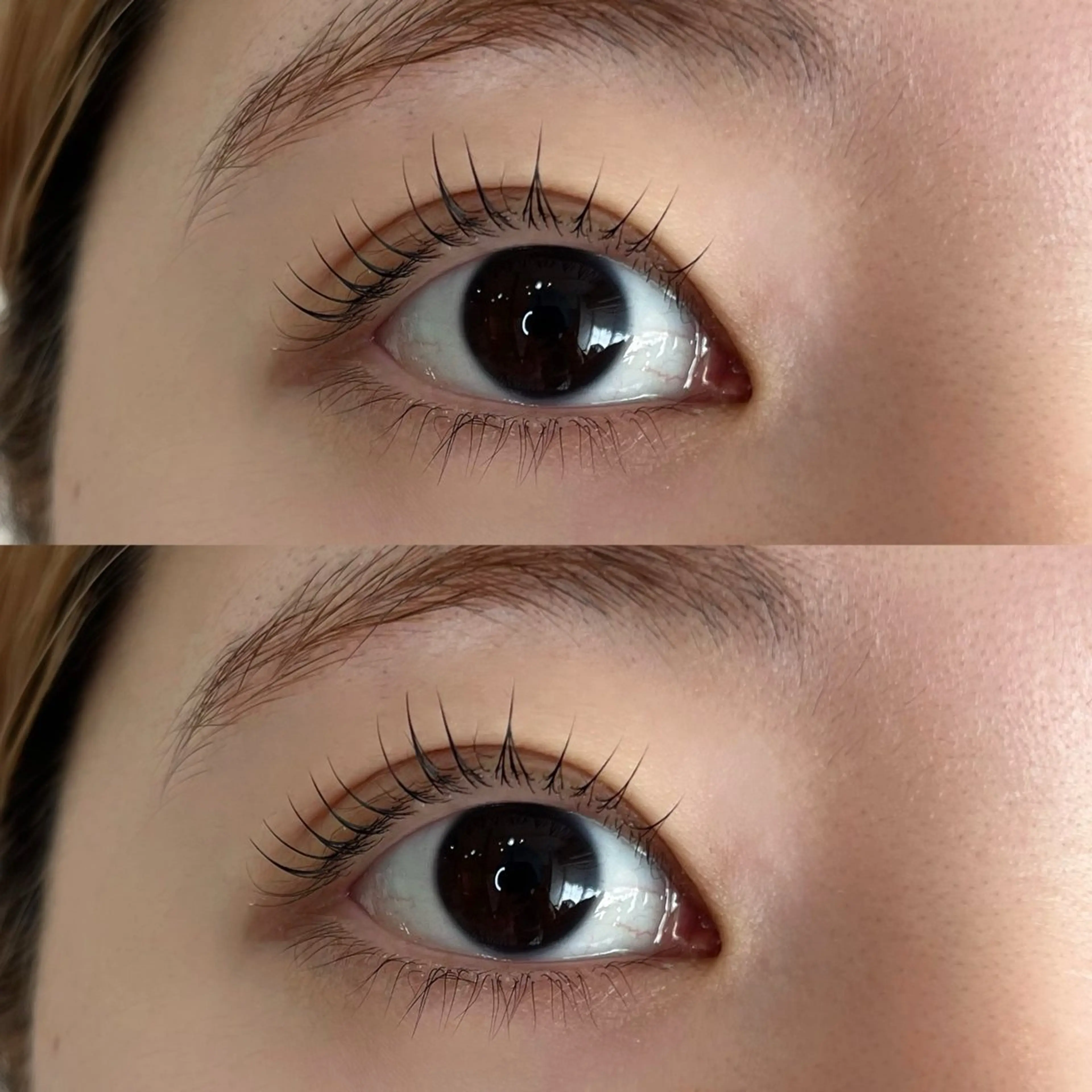 【まつ毛パーマ上下】4種類のケアトリートメント付きの写真