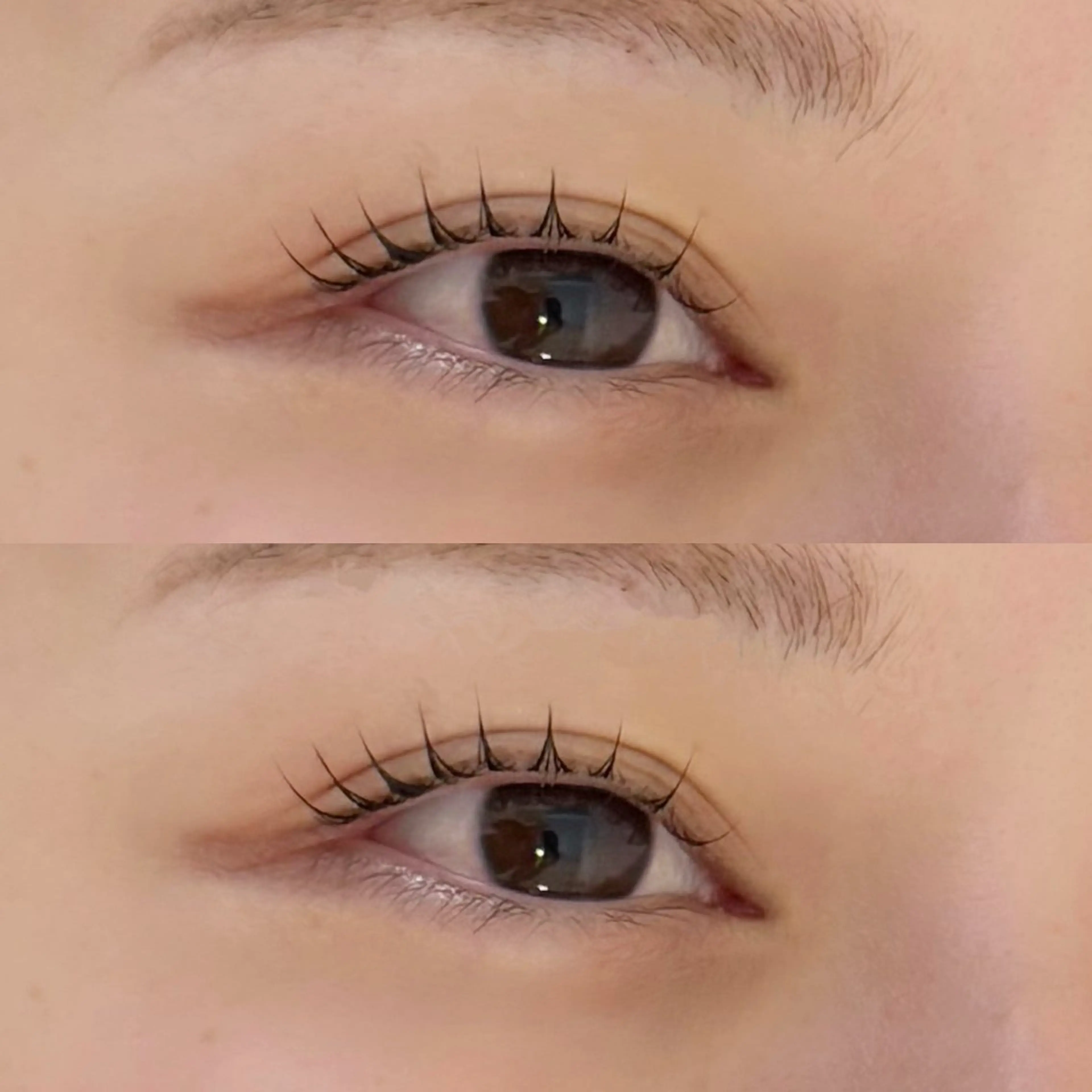 まつ毛パーマ//アイシャンプーorケラチントリートメント付き✨✨の写真