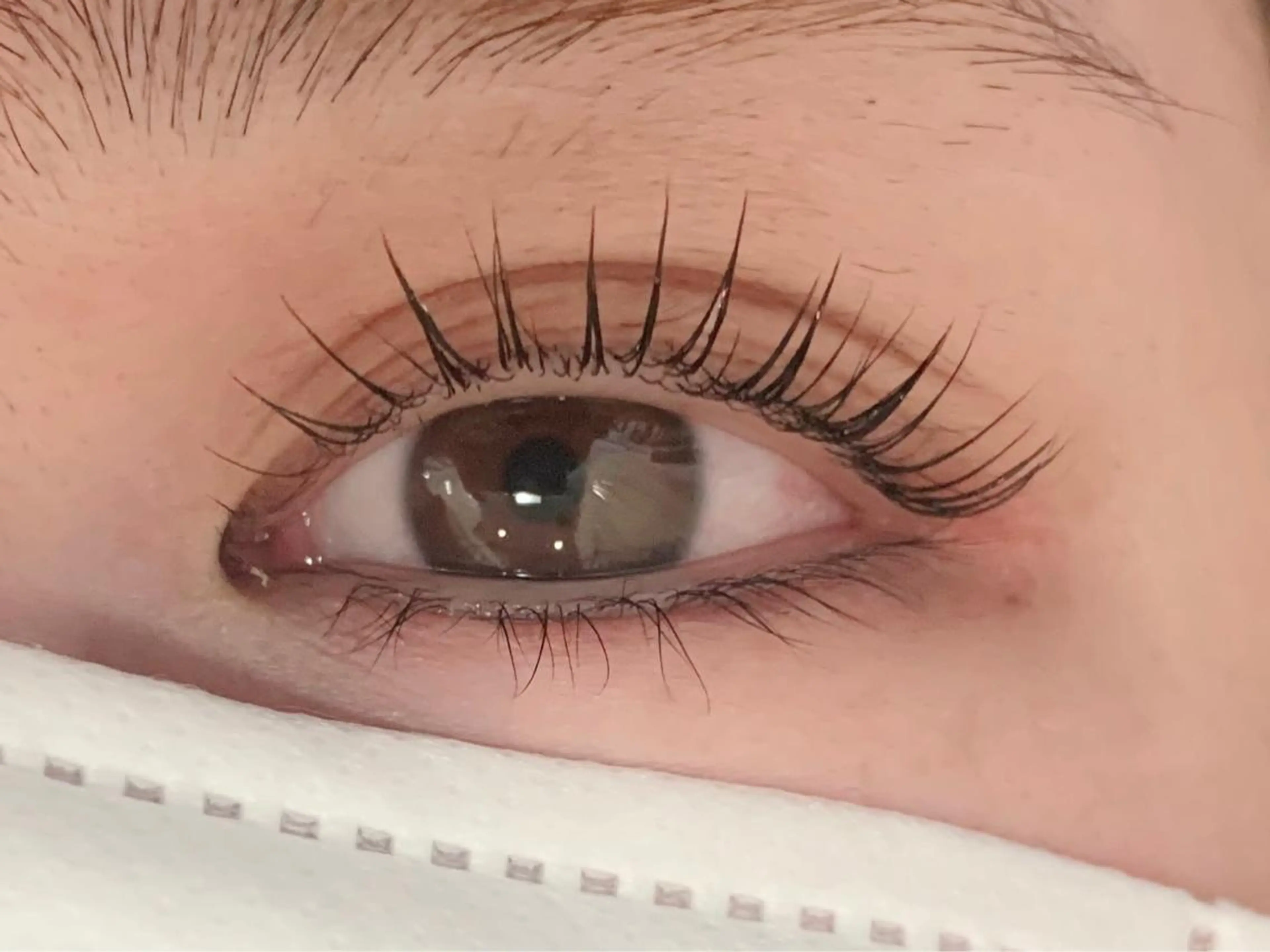 🌈まつ毛パーマ🌈高濃度アミノ酸トリートメントパーマ✨※ご新規様限定の写真