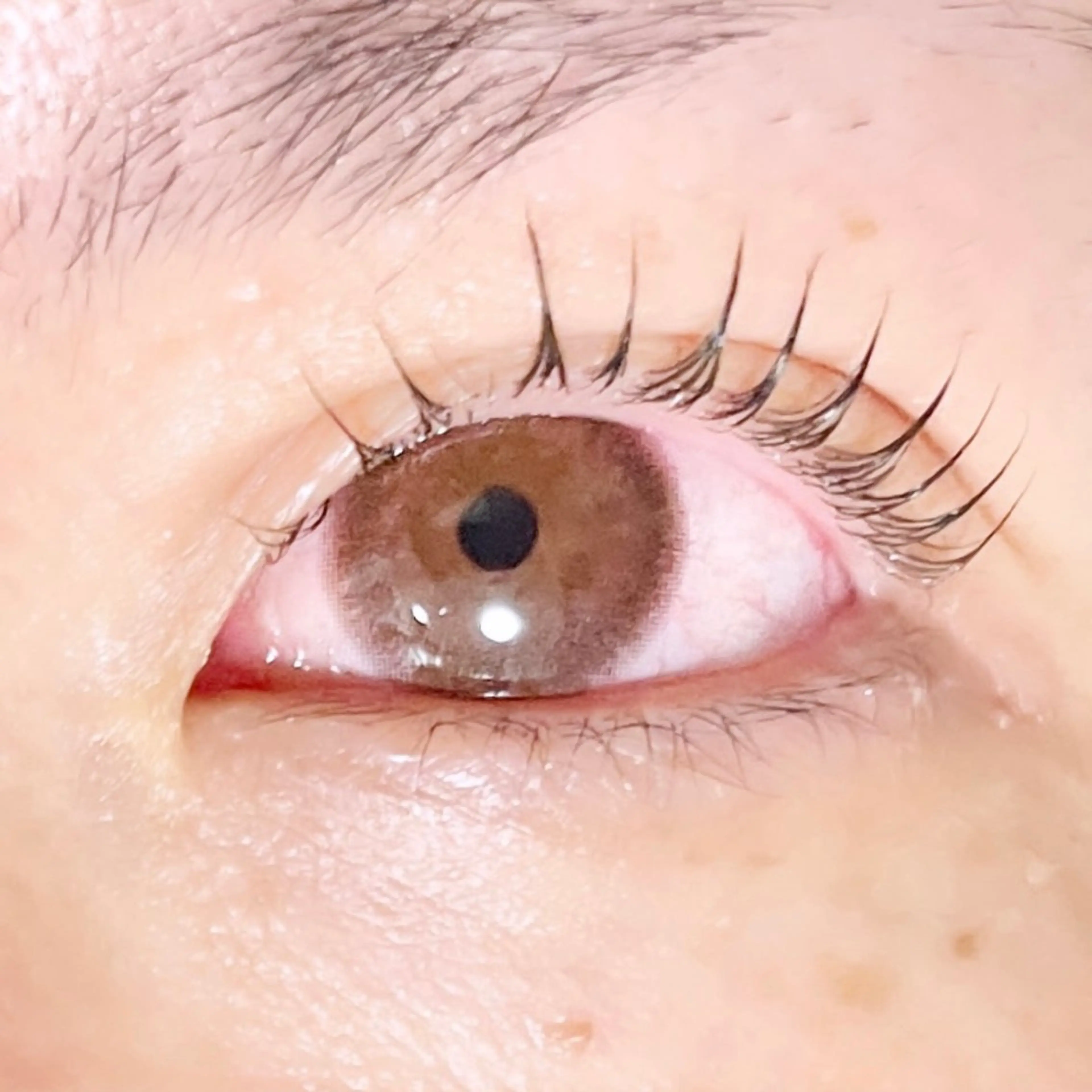 マツエク・マツパ TAKEO🖤 マリーテレジア藤が丘のマツエク・マツパデザイン