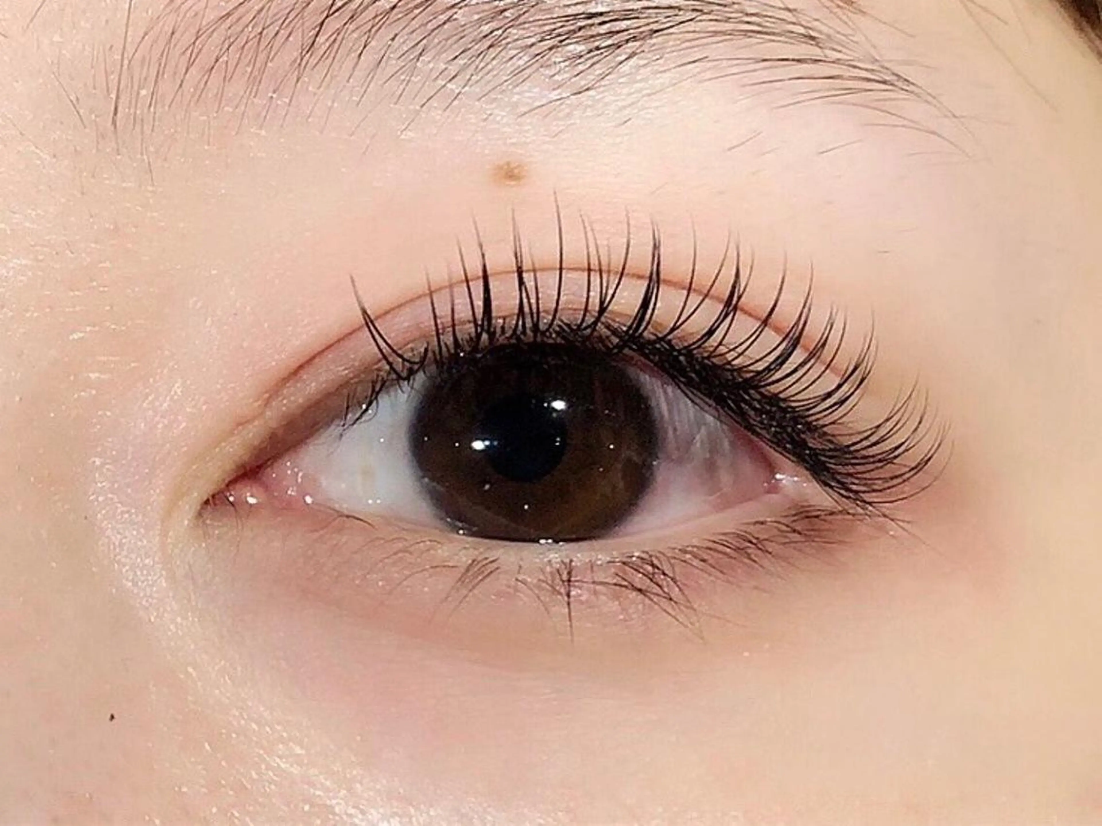 マツエク・マツパ 🫧レイヤーお任せ ください🫧のヘアスタイル