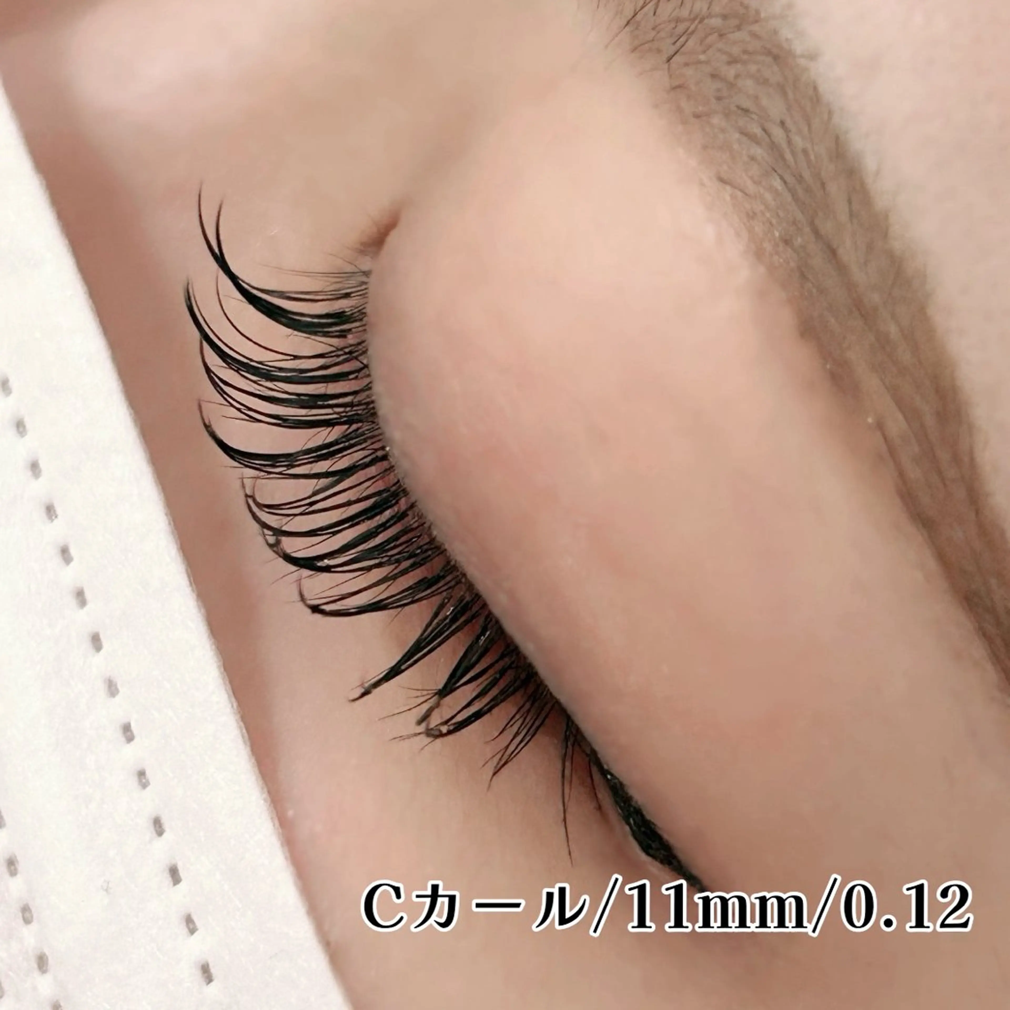 マツエク・マツパ 束感まつ毛 Cカール セーブル こと / 束感マツエク🐩🤍のマツエク・マツパデザイン