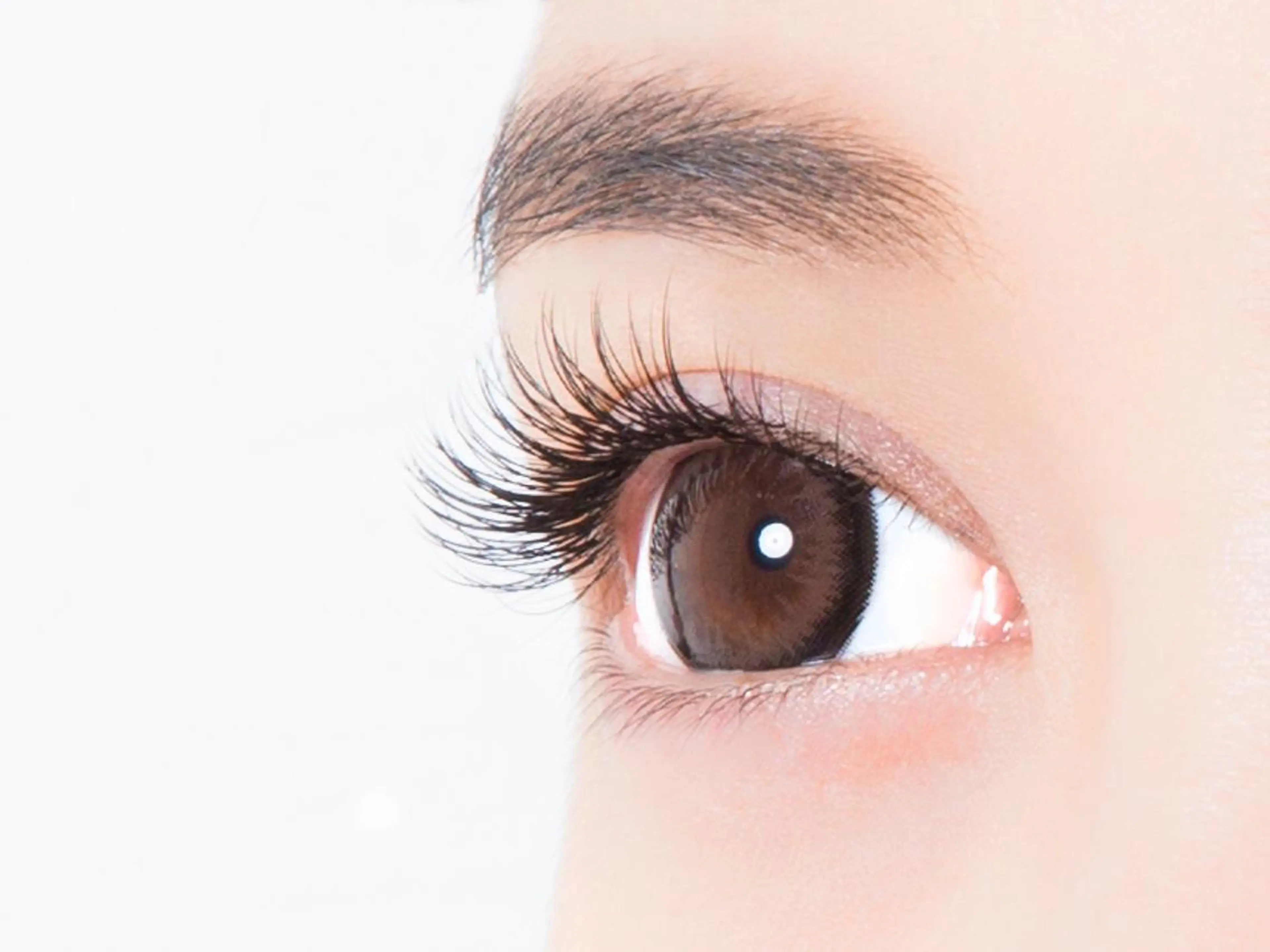 最高級プラチナセーブル！シングルラッシュ160本の写真