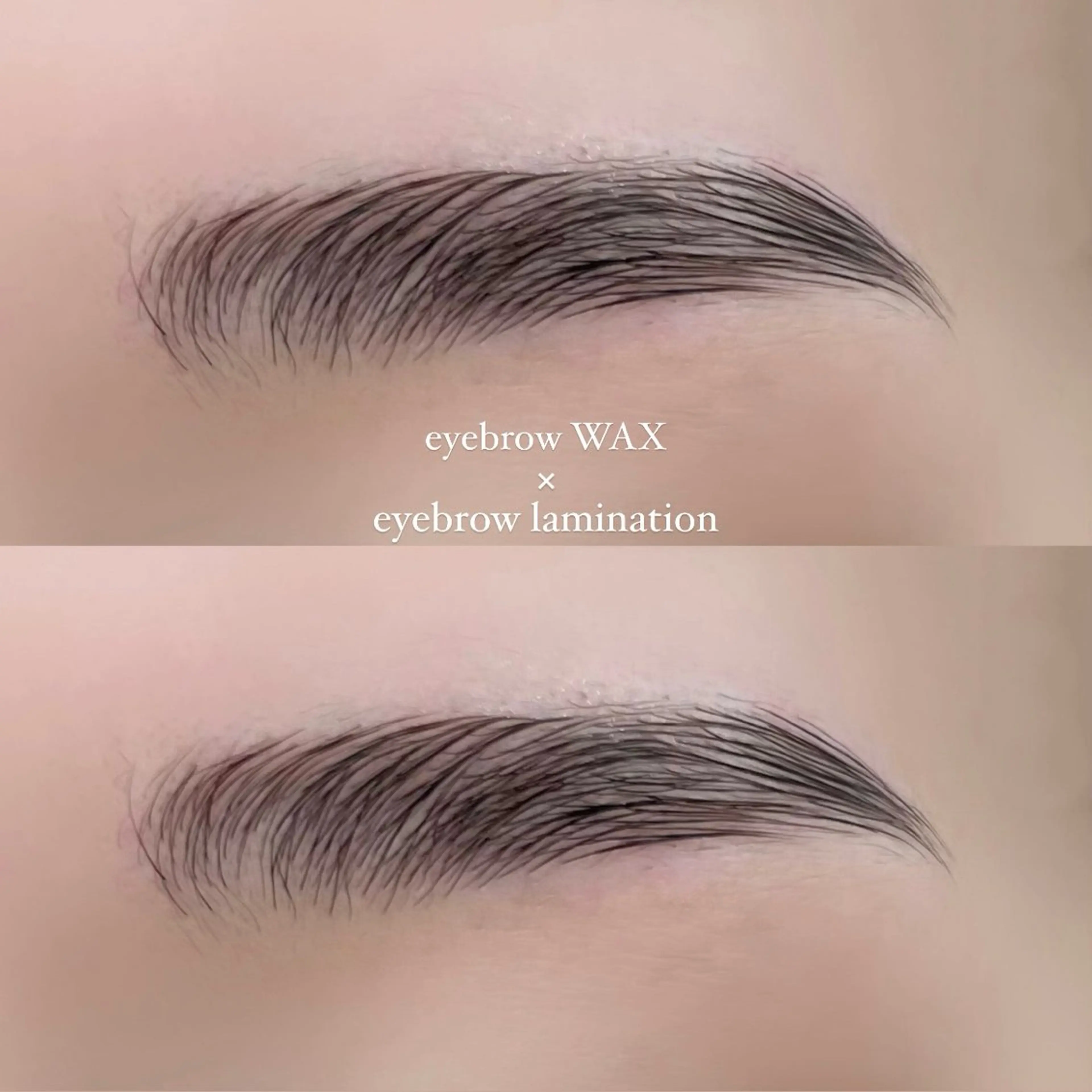 アイブロウワックス×ラミネーションの写真