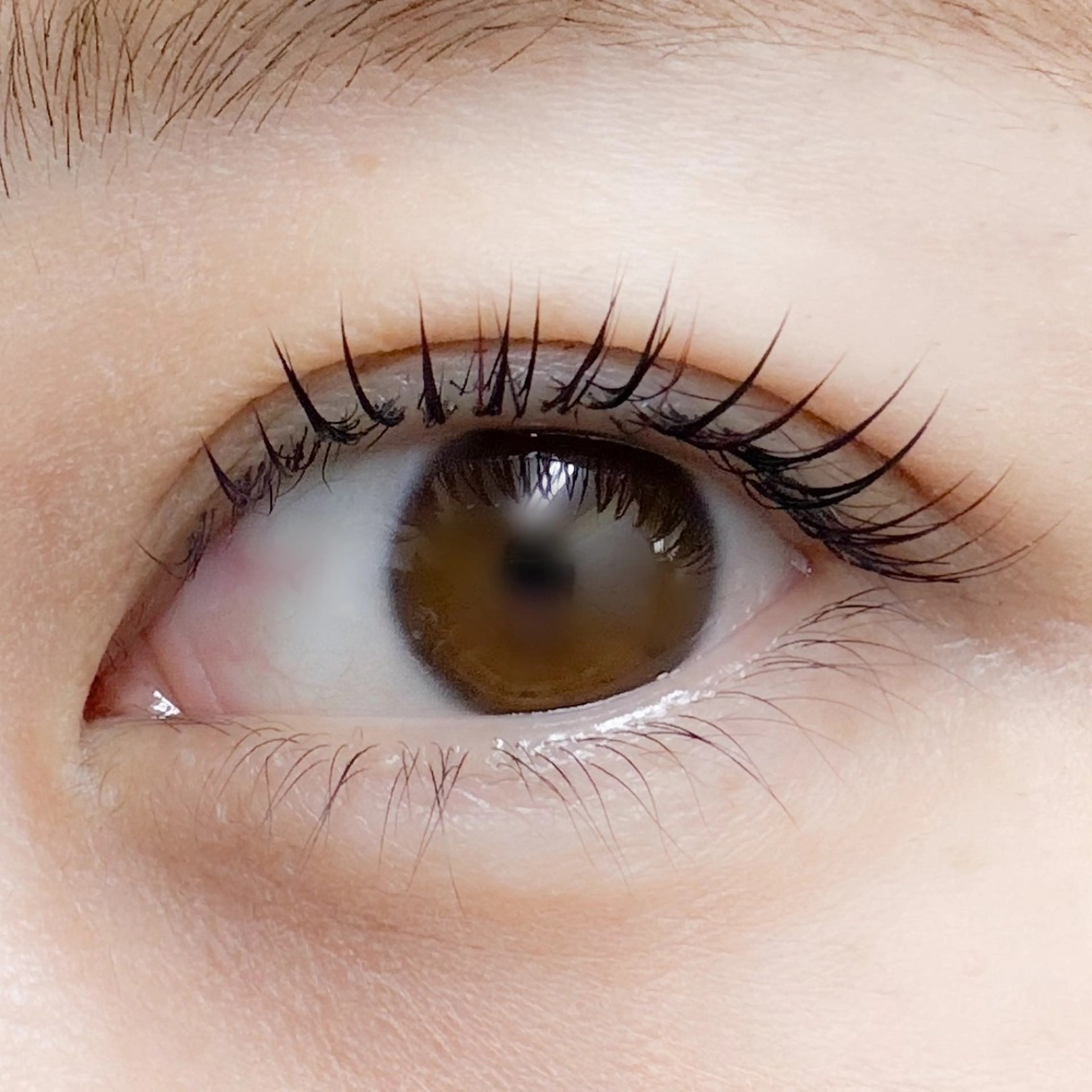 マツエク・マツパ 飯田/Tomo's HairDesignのマツエク・マツパデザイン