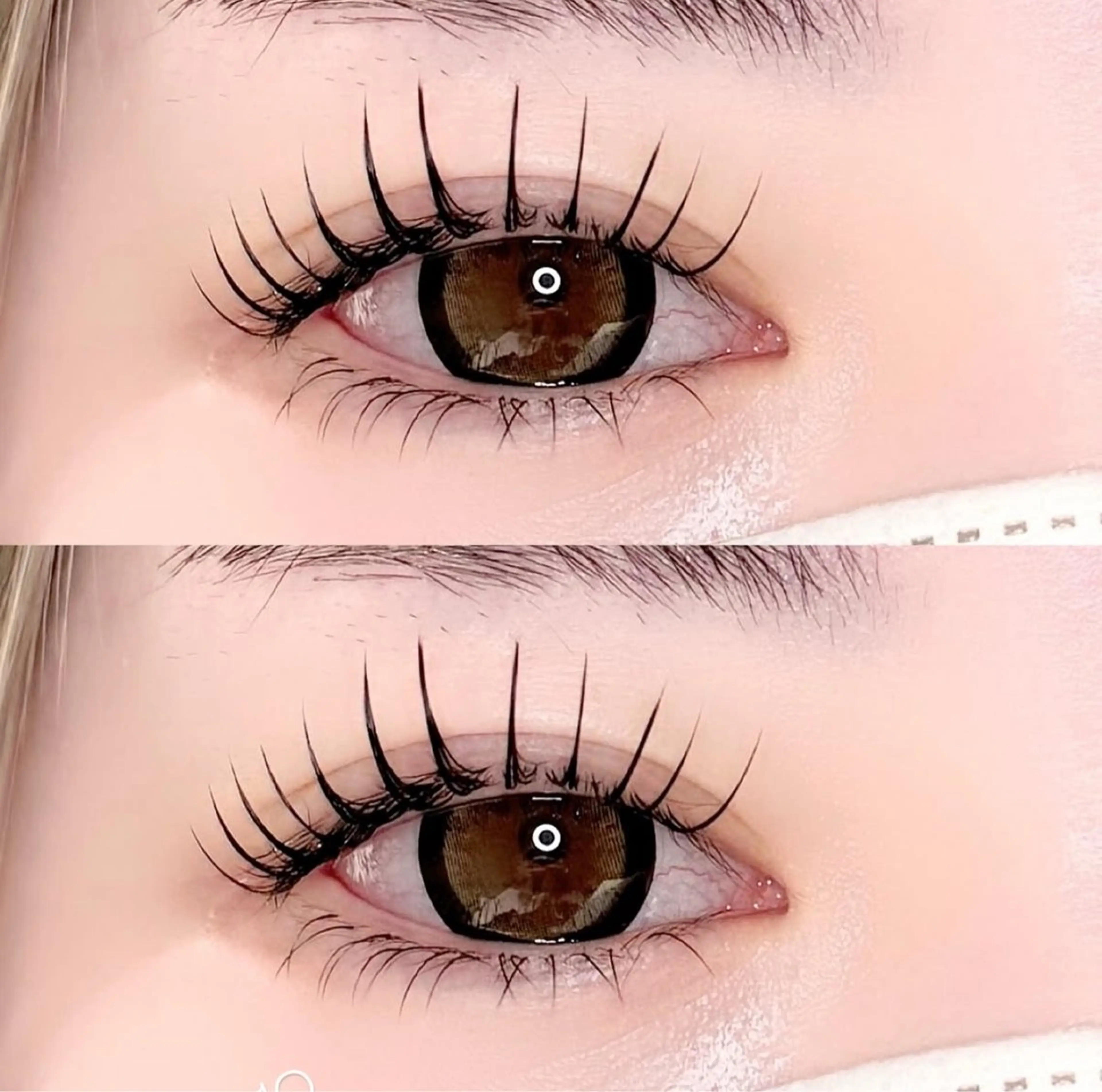 フラットラッシュ120本《Lカール》の写真