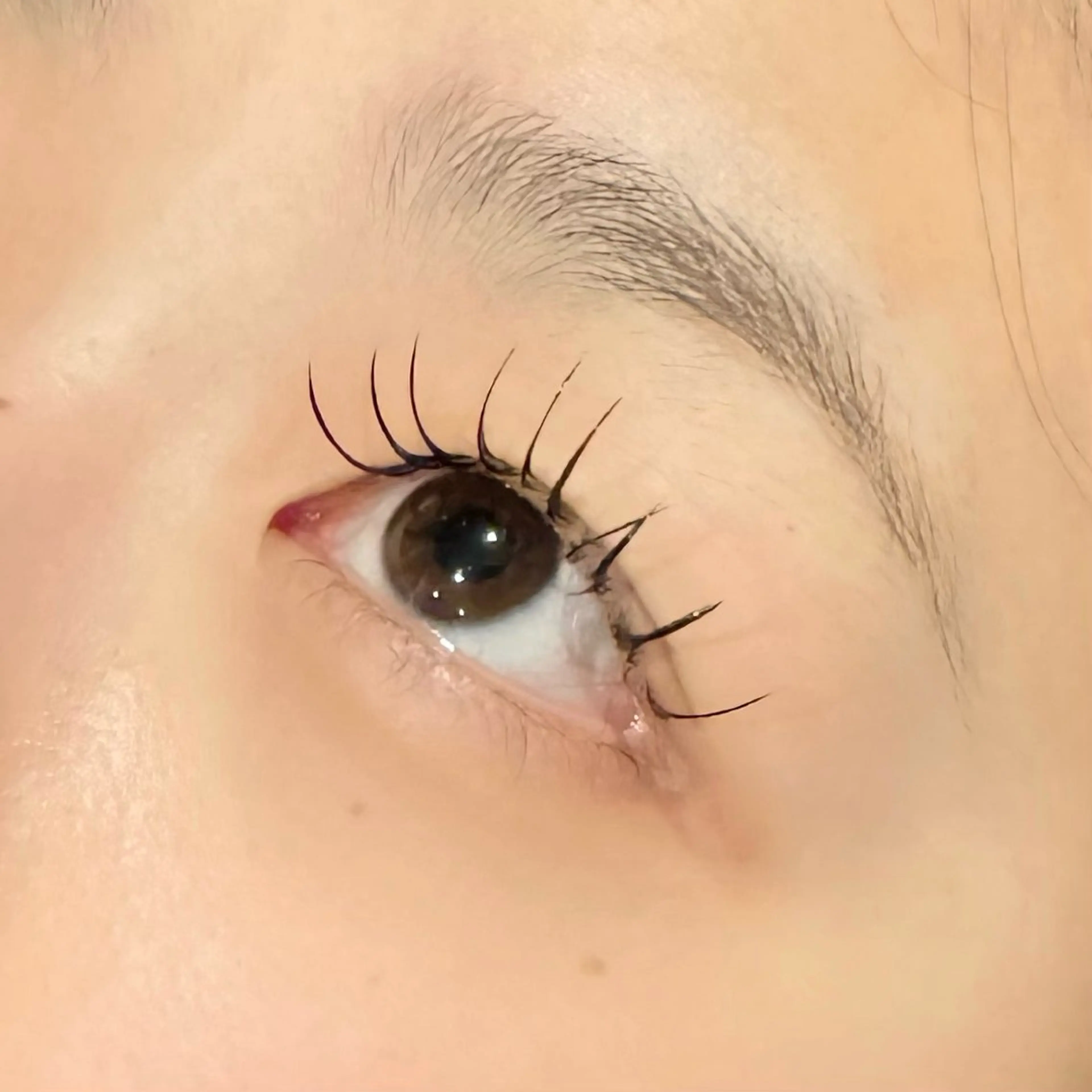 マツエク・マツパ フラットラッシュ マツエク トマツ ミユのマツエク・マツパデザイン