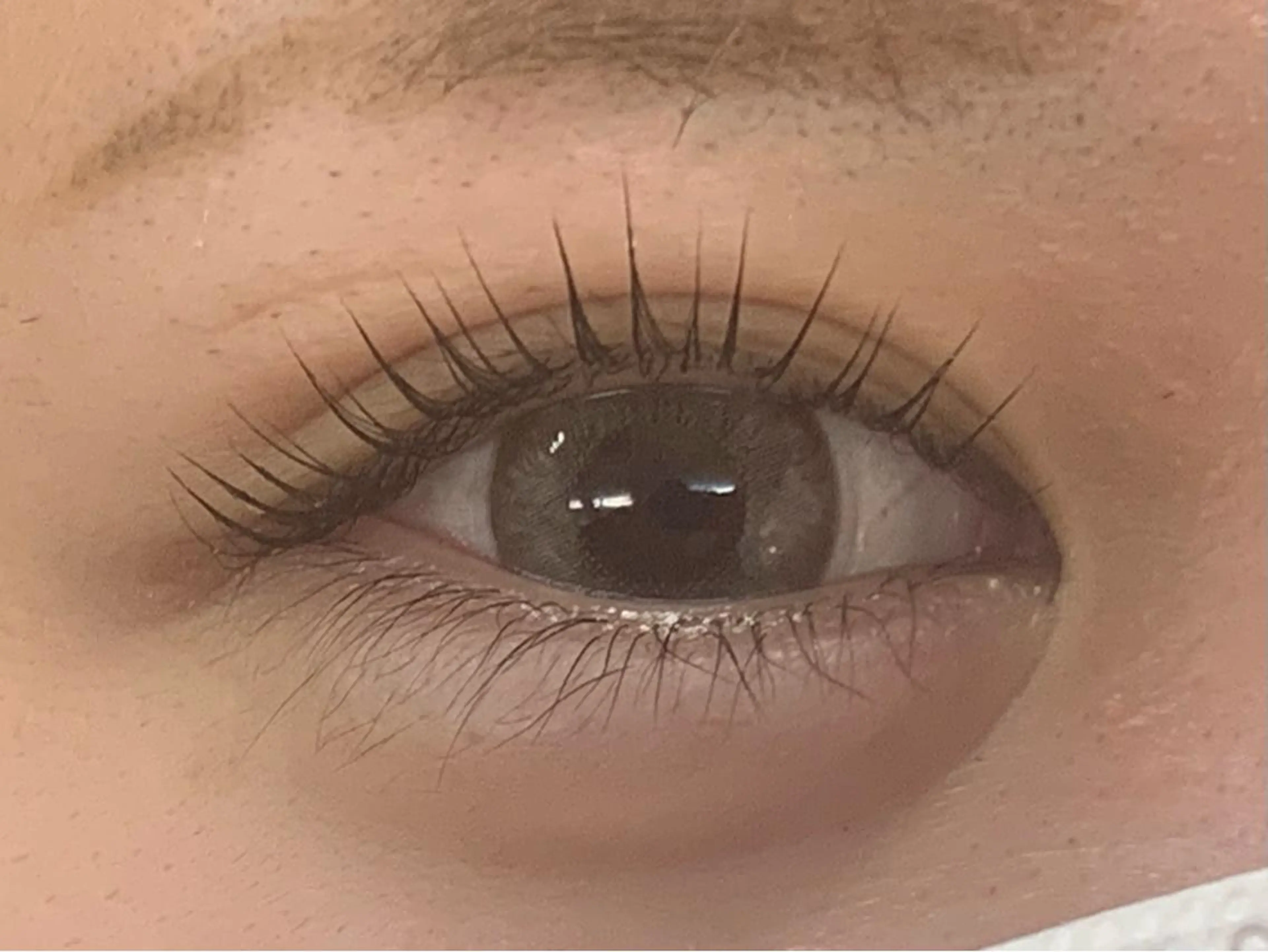 マツエク・マツパ Lil by Fan. 菊池のマツエク・マツパデザイン