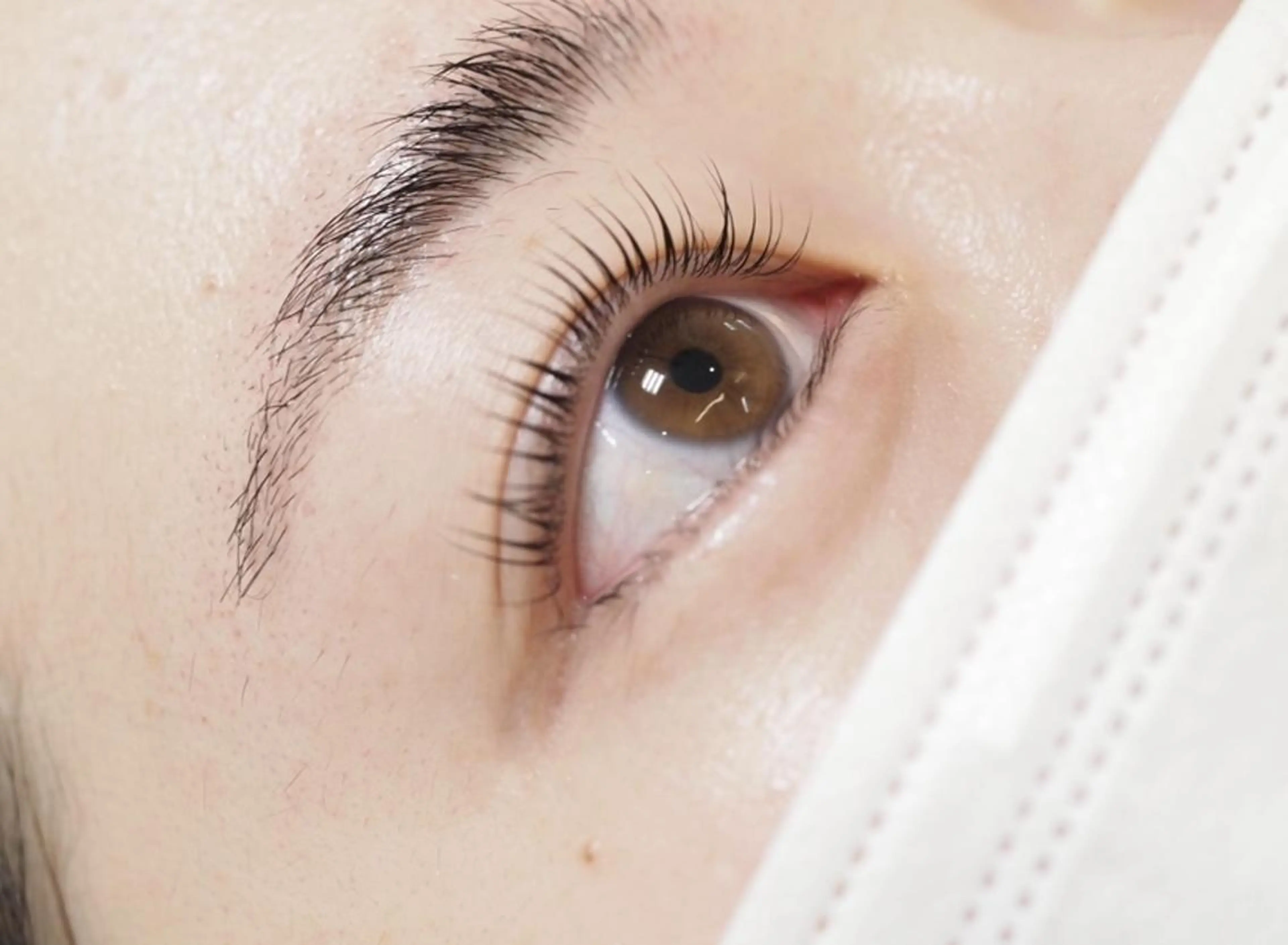 【25歳以下限定✨モデル価格】パリジェンヌラッシュリフト　¥3980の写真