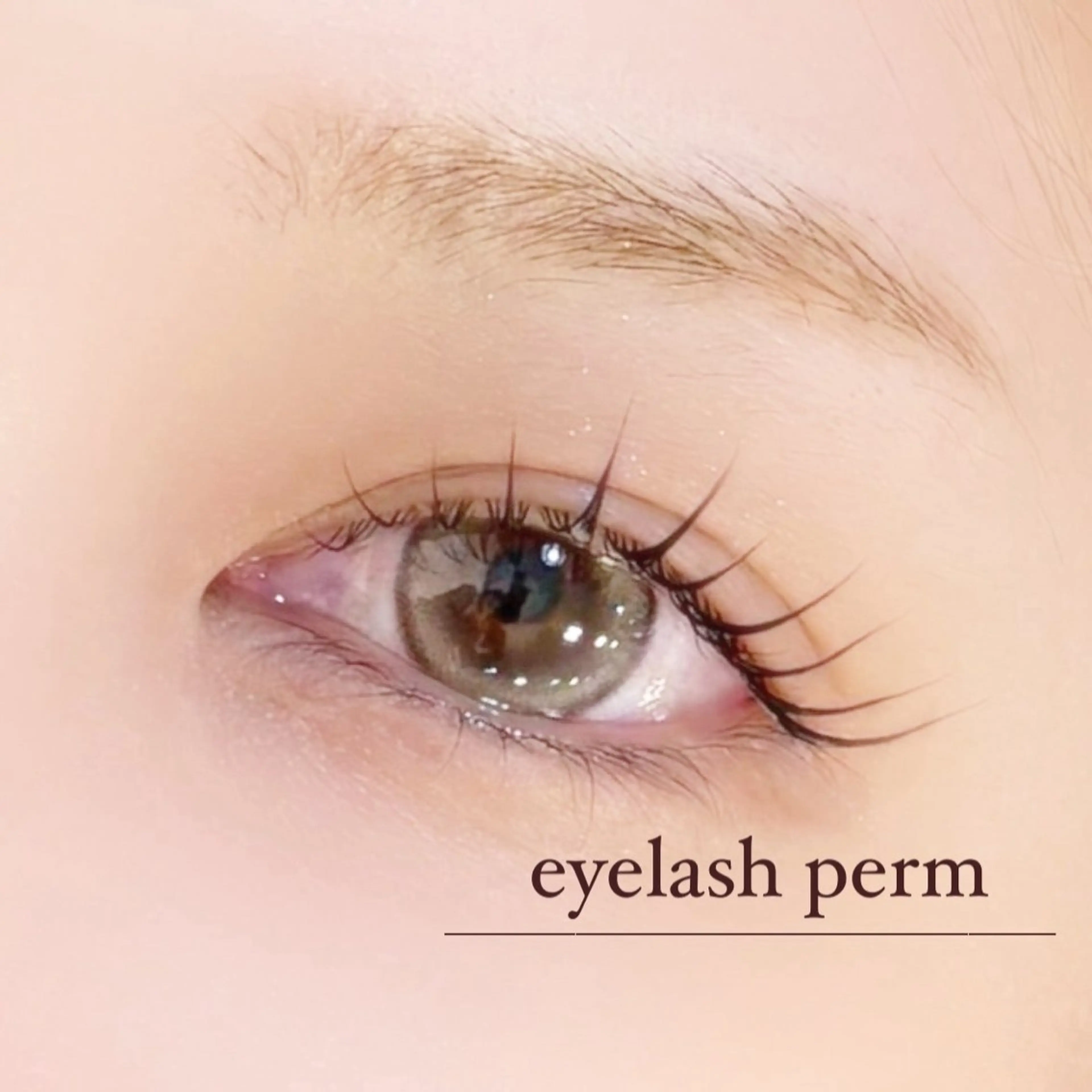 メンズ マツエク・マツパ メンズパーマ 束感まつ毛 パリジェンヌラッシュリフト 一重×まつ毛パーマ eyelashsalon I:belle by BINEL所属・【i:belle】 Rinのマツエク・マツパデザイン