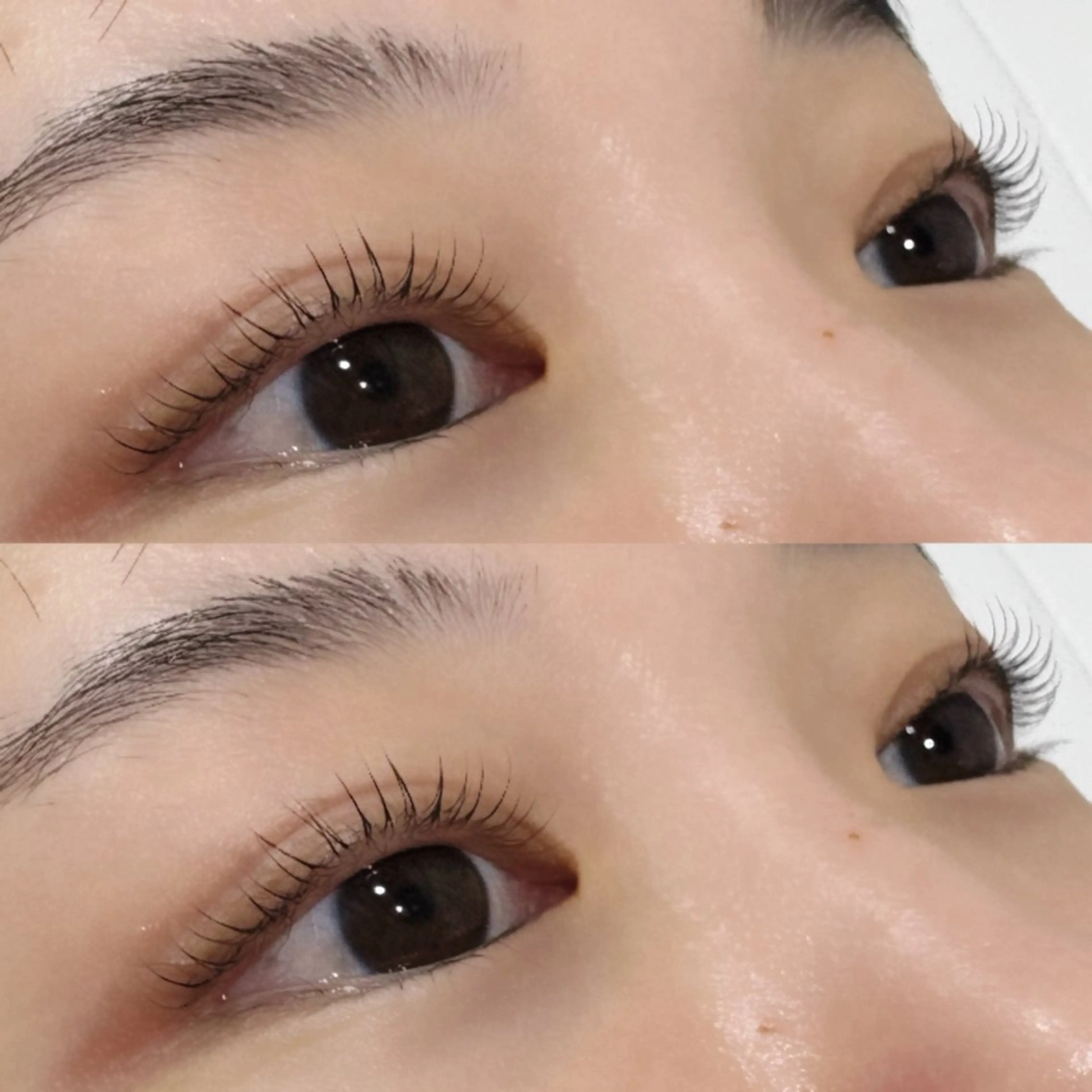 マツエク・マツパ Cカール ナチュラル まつげパーマ alm.所属・mayuka🐾 /カラー/まつパのヘアスタイル