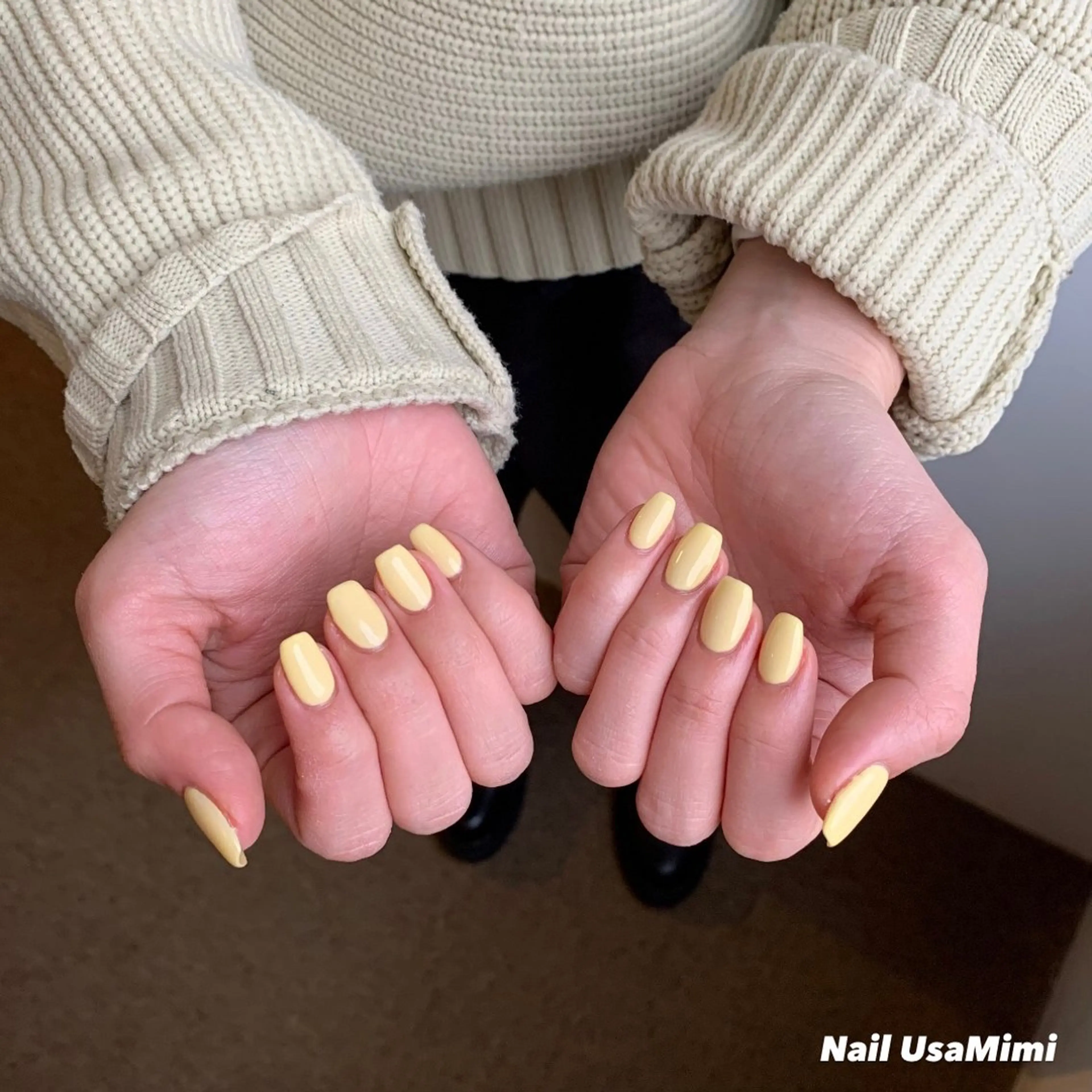 ネイル ジェルネイル マグネットネイル 持ち込み ワンカラーネイル パラジェル 本町ネイルNail UsaMimiのネイルデザイン