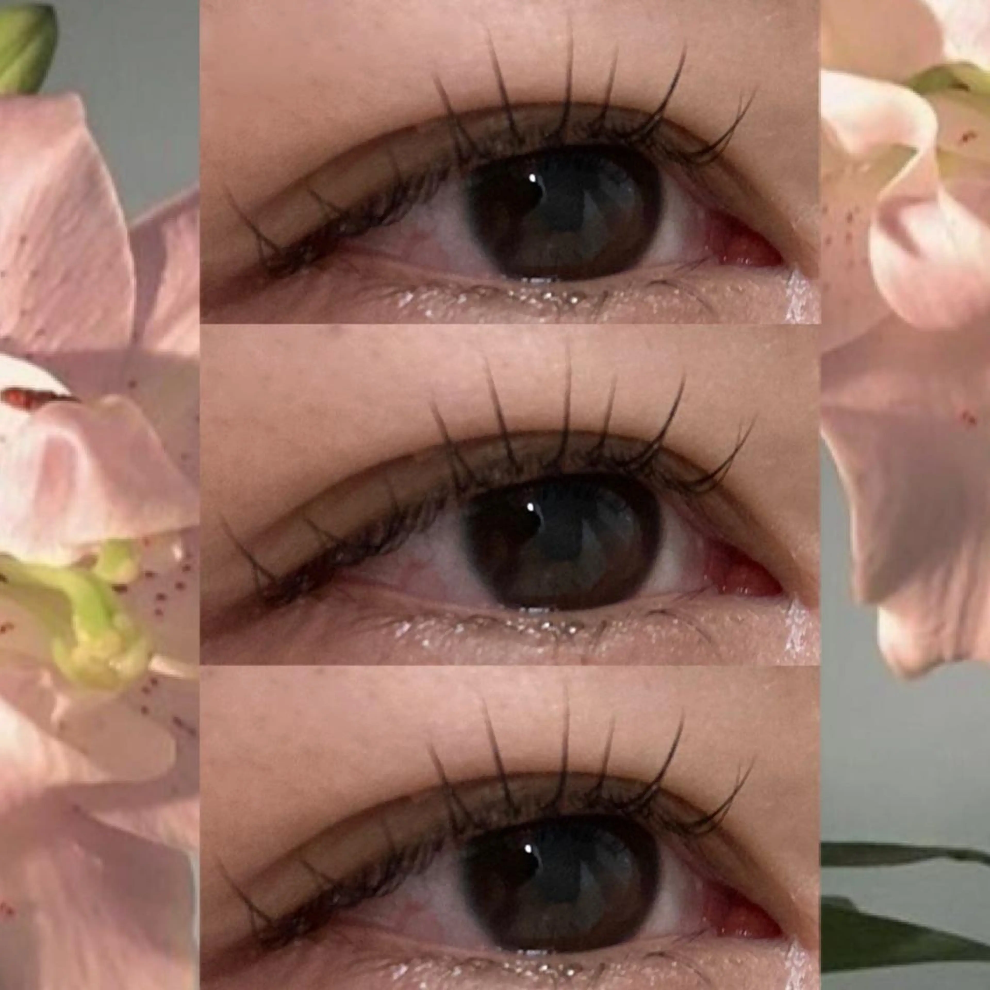 マツエク・マツパ フラットラッシュ 韓国風マツエク まつげパーマ 一重×まつ毛パーマ orihara𐙚 まつげパーマ/眉毛のマツエク・マツパデザイン