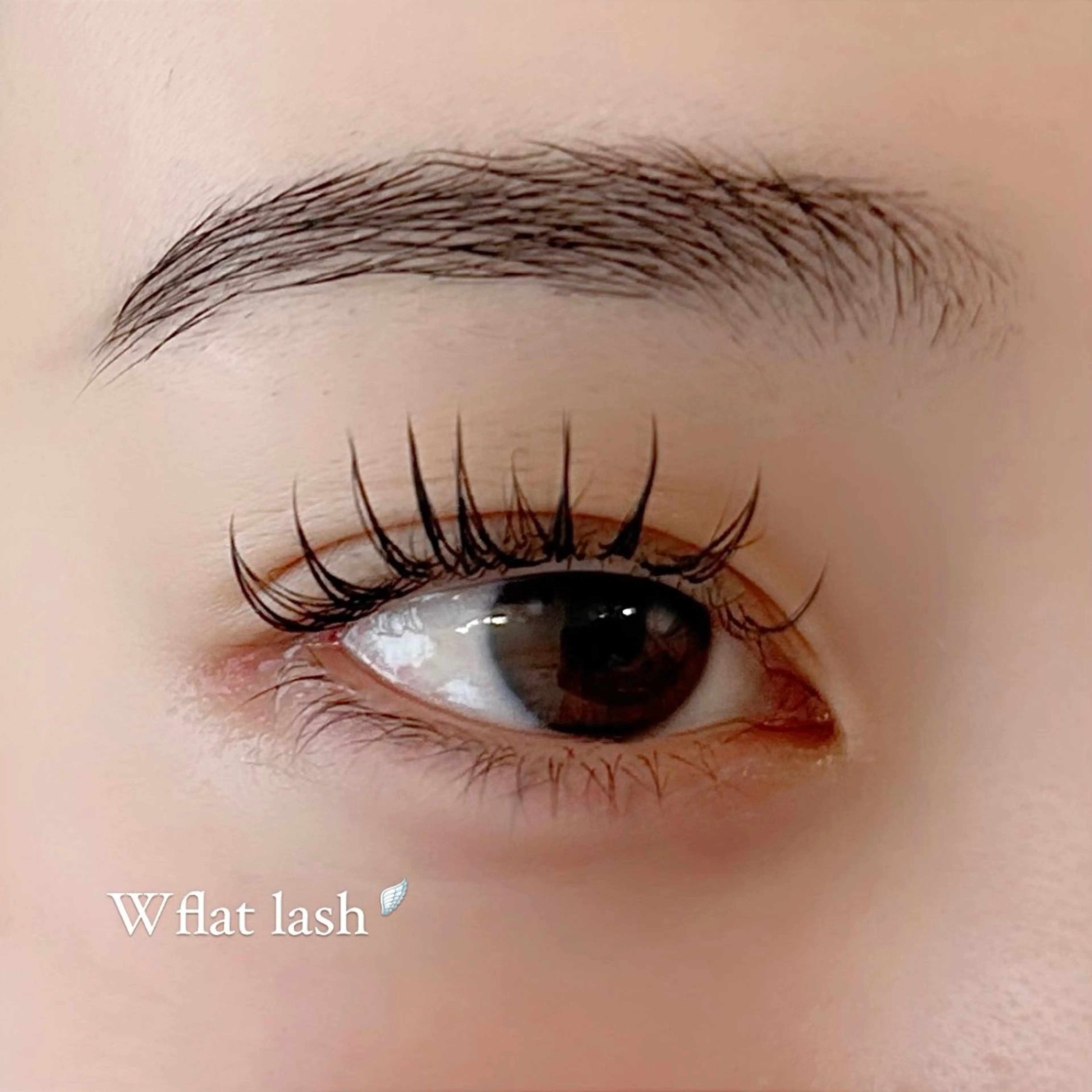 Wフラットラッシュ80set🪽 （1set＝2本）の写真