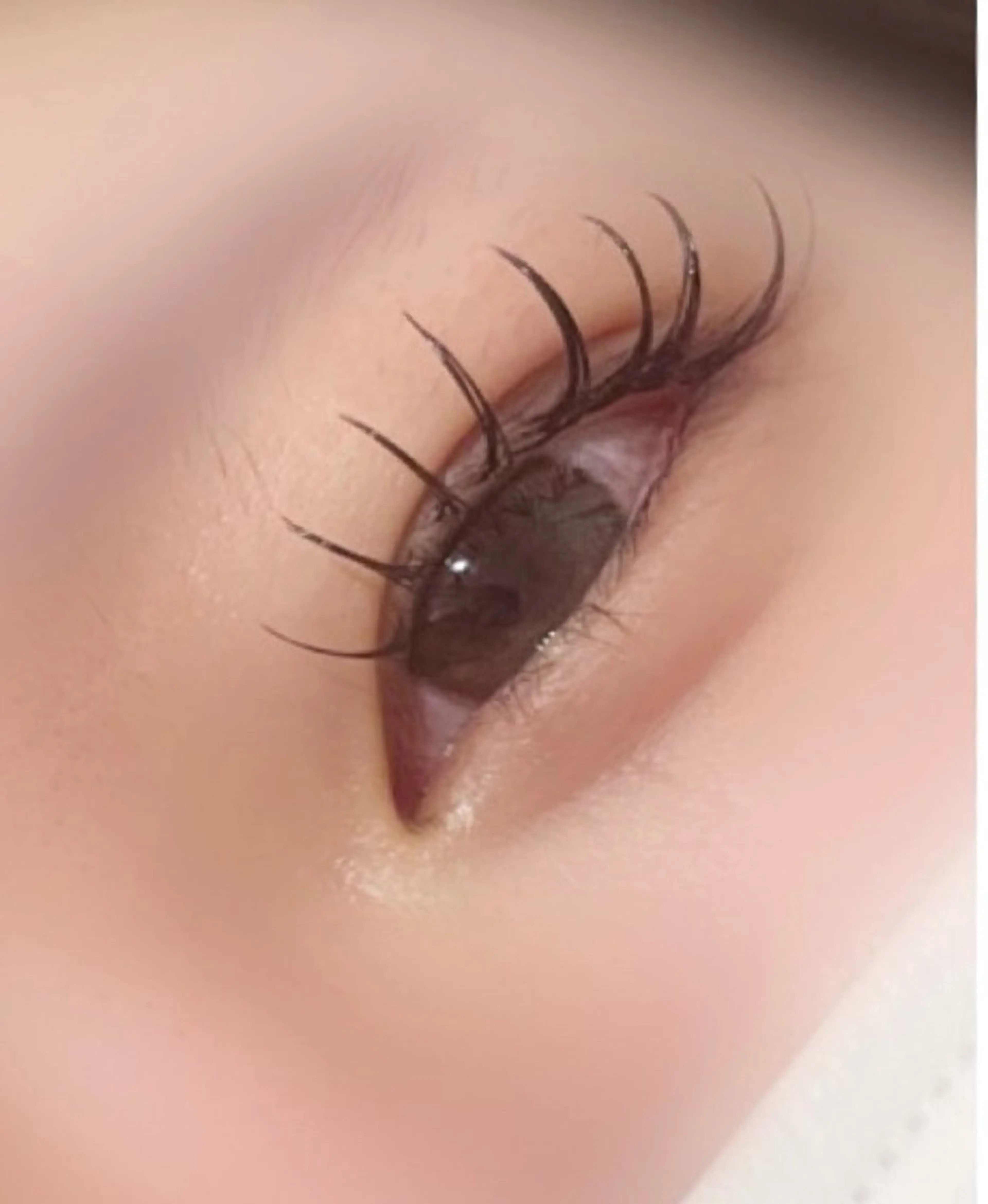 マツエク・マツパ Dカール セクシー きただ ゆずかのマツエク・マツパデザイン