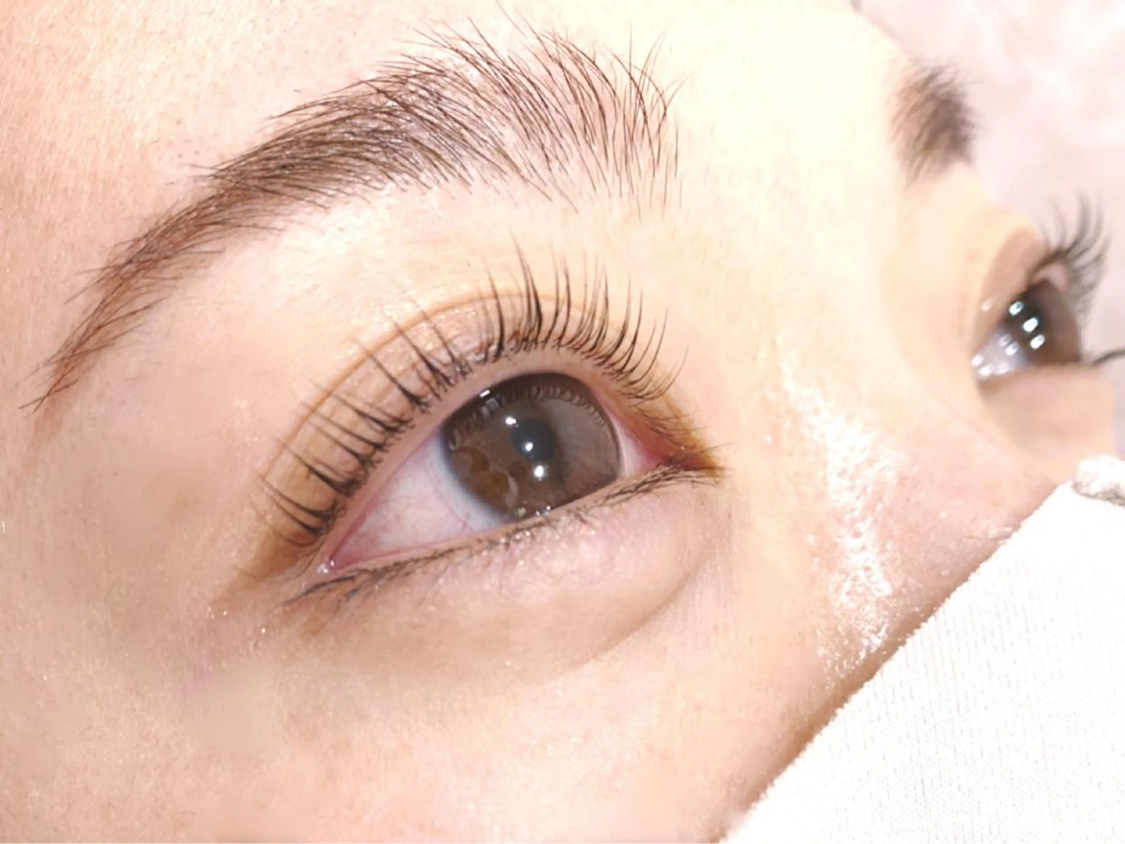 マツエク・マツパ Hera 👀アイラッシュのマツエク・マツパデザイン