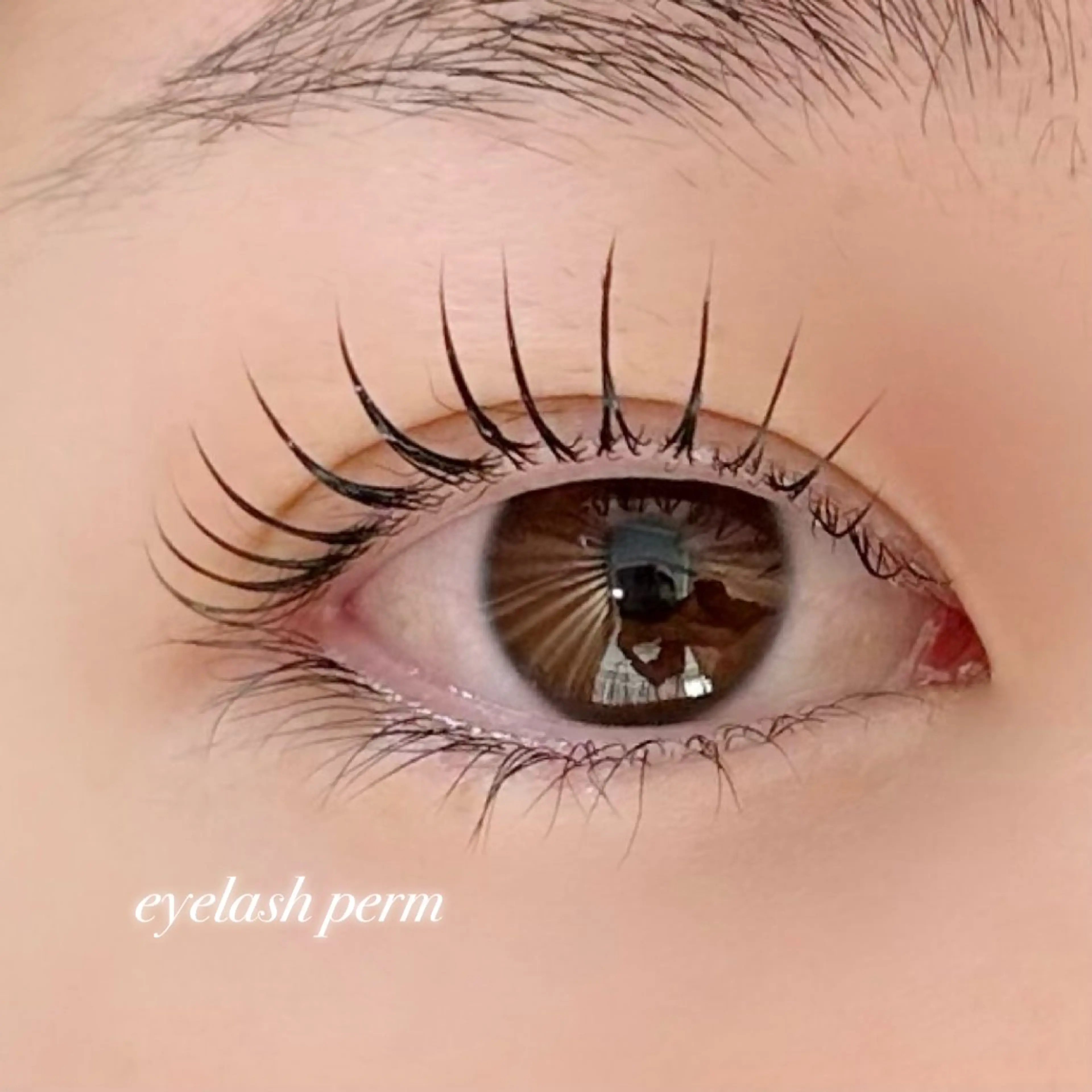 マツエク・マツパ マツパ eight池袋 🌛TAMAKIのマツエク・マツパデザイン