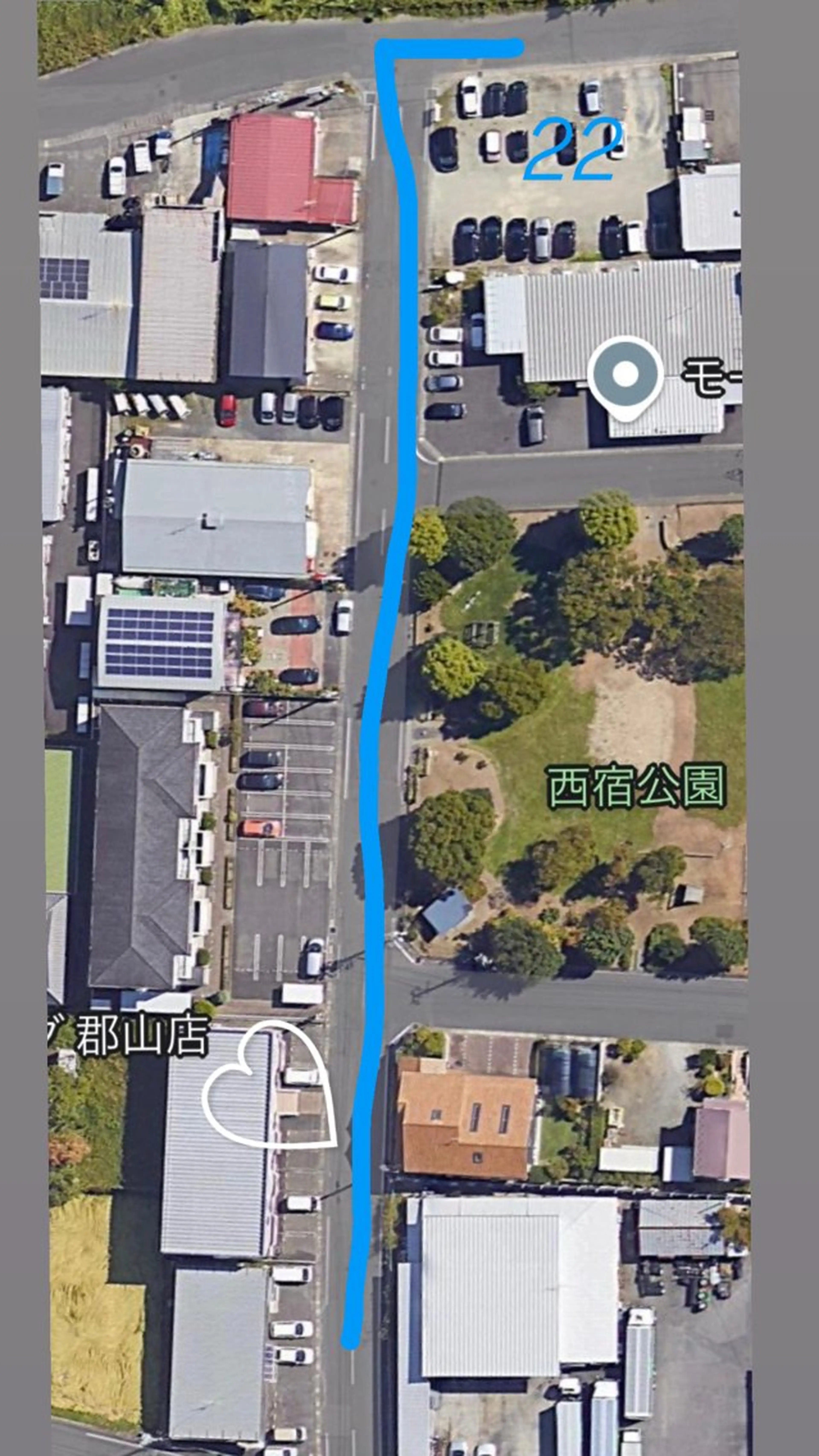 ネイル Mignon所属・Mignon 、のネイルデザイン