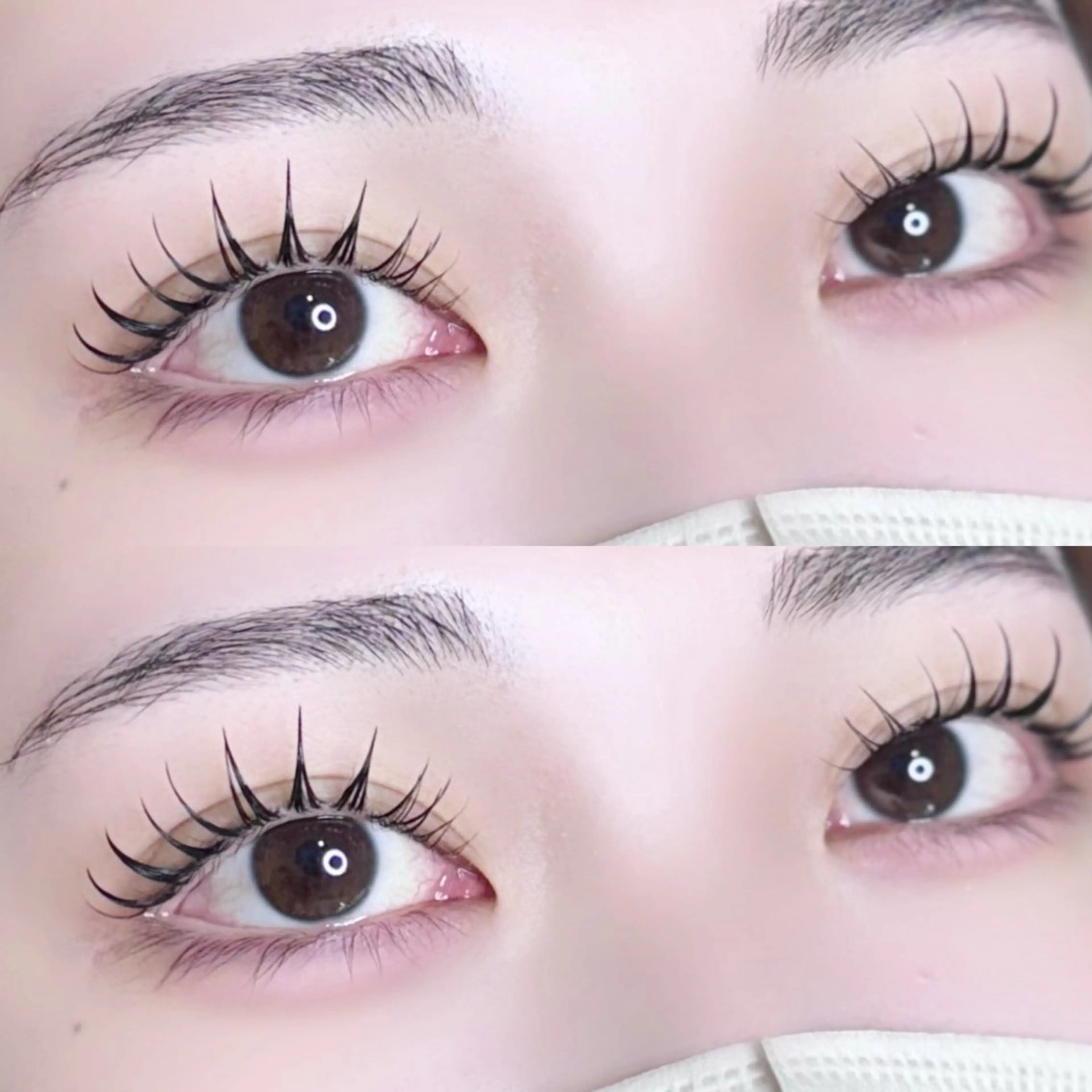 【パリエク100本】フラット/エクパーマ/💫ˊ˗オフ込+アイパック付き🫧J.JC.C.CC.Lの写真