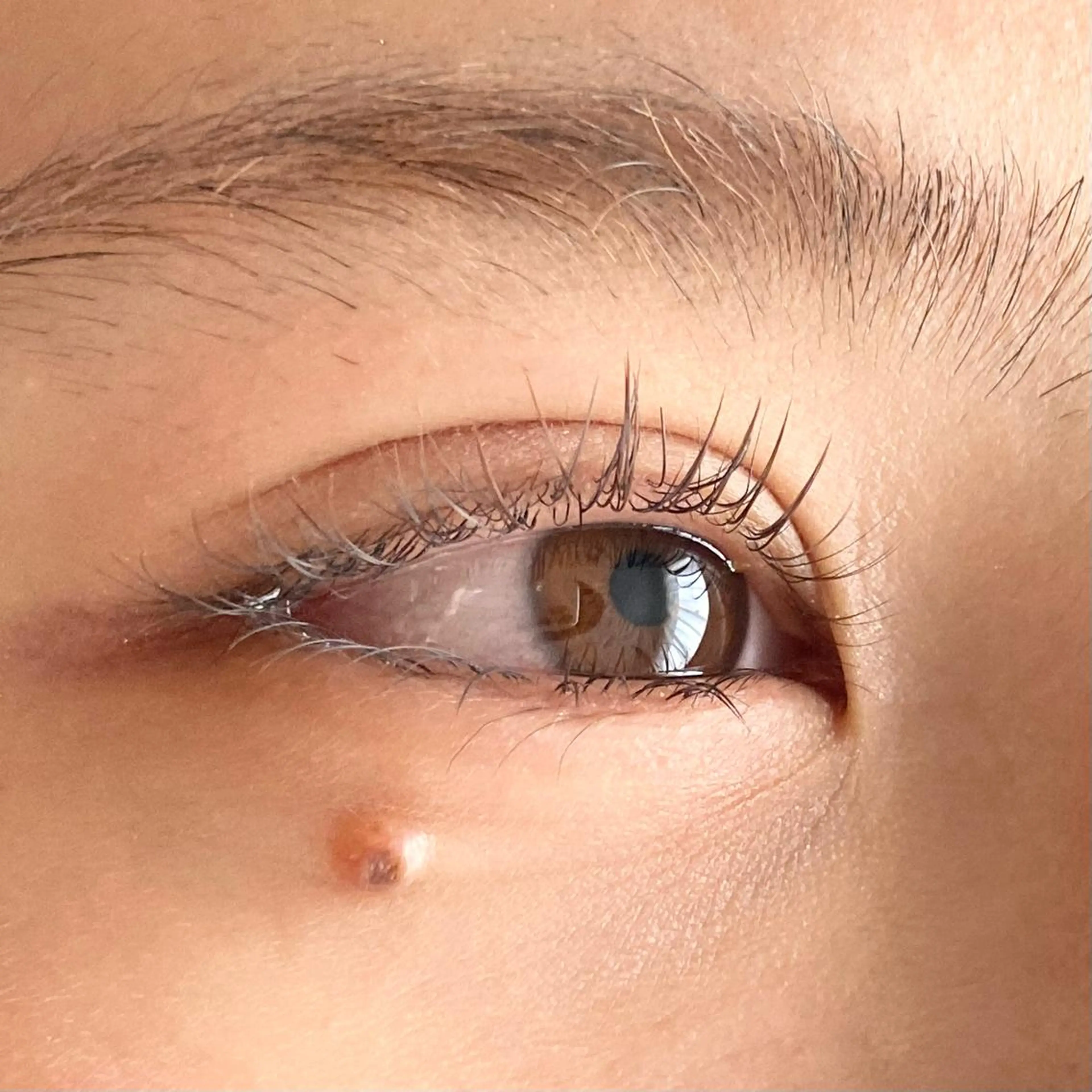 マツエク・マツパ nouvell所属・nouvell 🪐sanaのマツエク・マツパデザイン