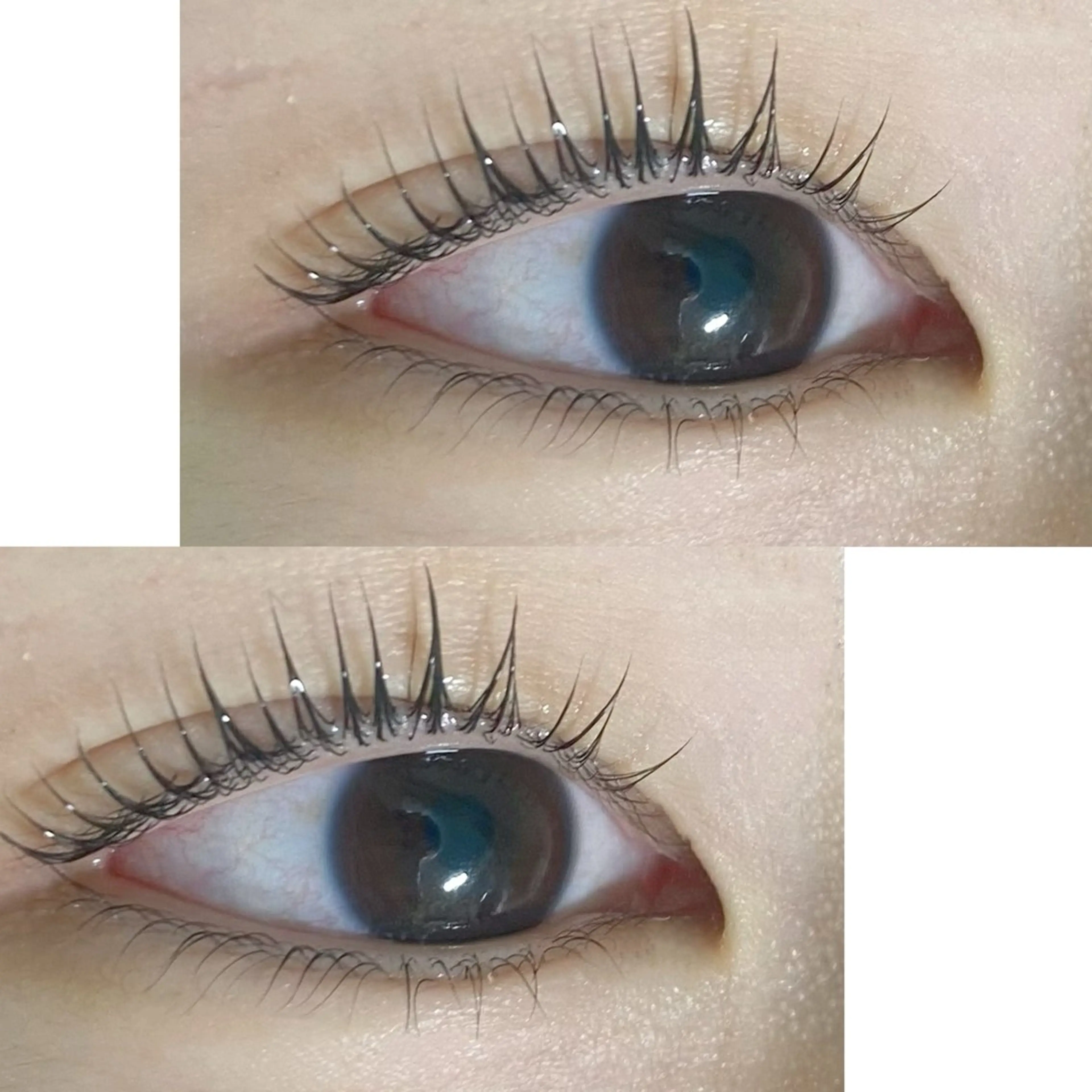 ☑︎上下まつ毛パーマ⭐️　☑︎上下パリジェンヌ⭐️の写真