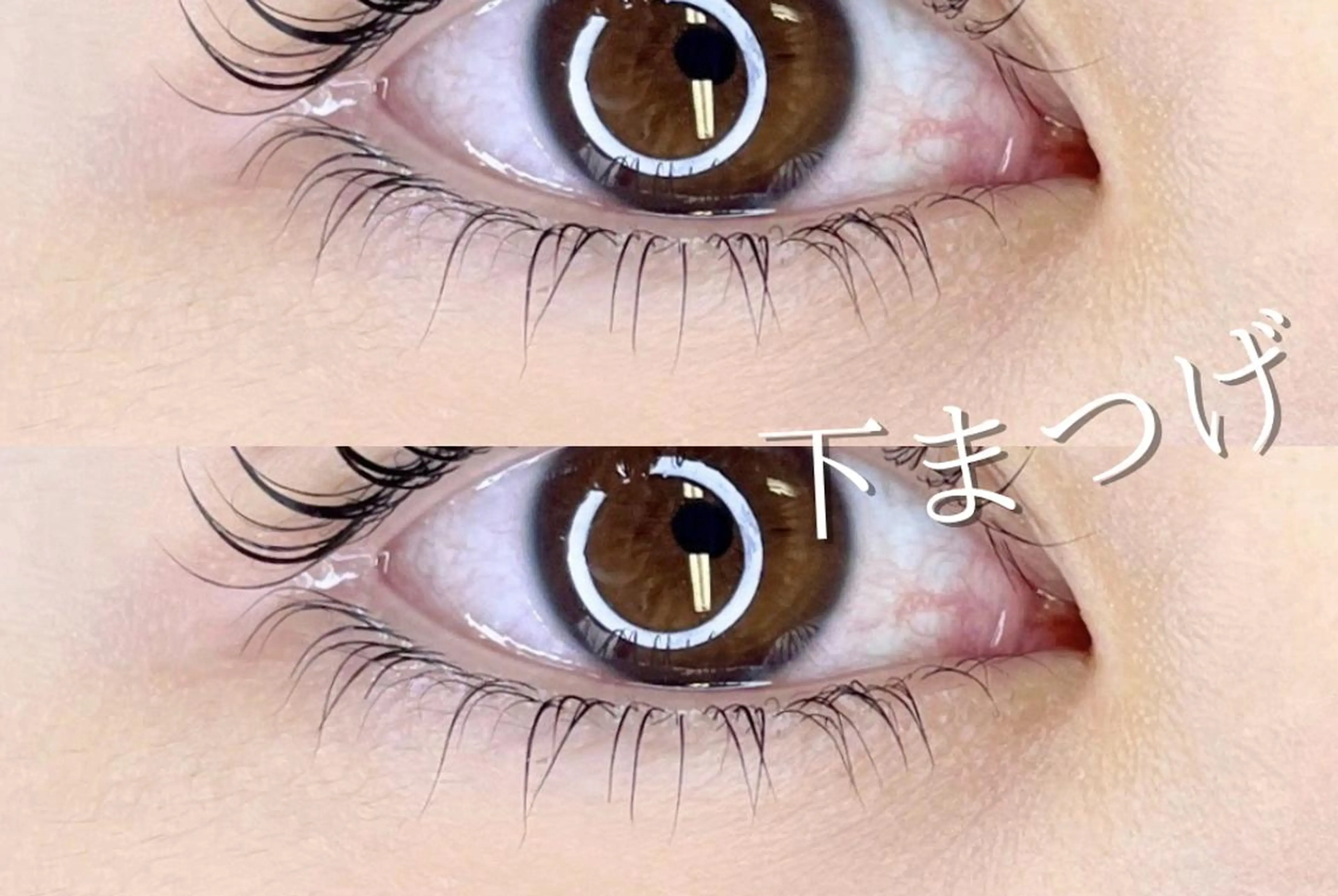 マツエク・マツパ バインドロック フラットラッシュ パリジェンヌラッシュリフト まつげパーマ 下まつげエクステ 💗マツエク マツパ 専門店🎀SeneLのマツエク・マツパデザイン