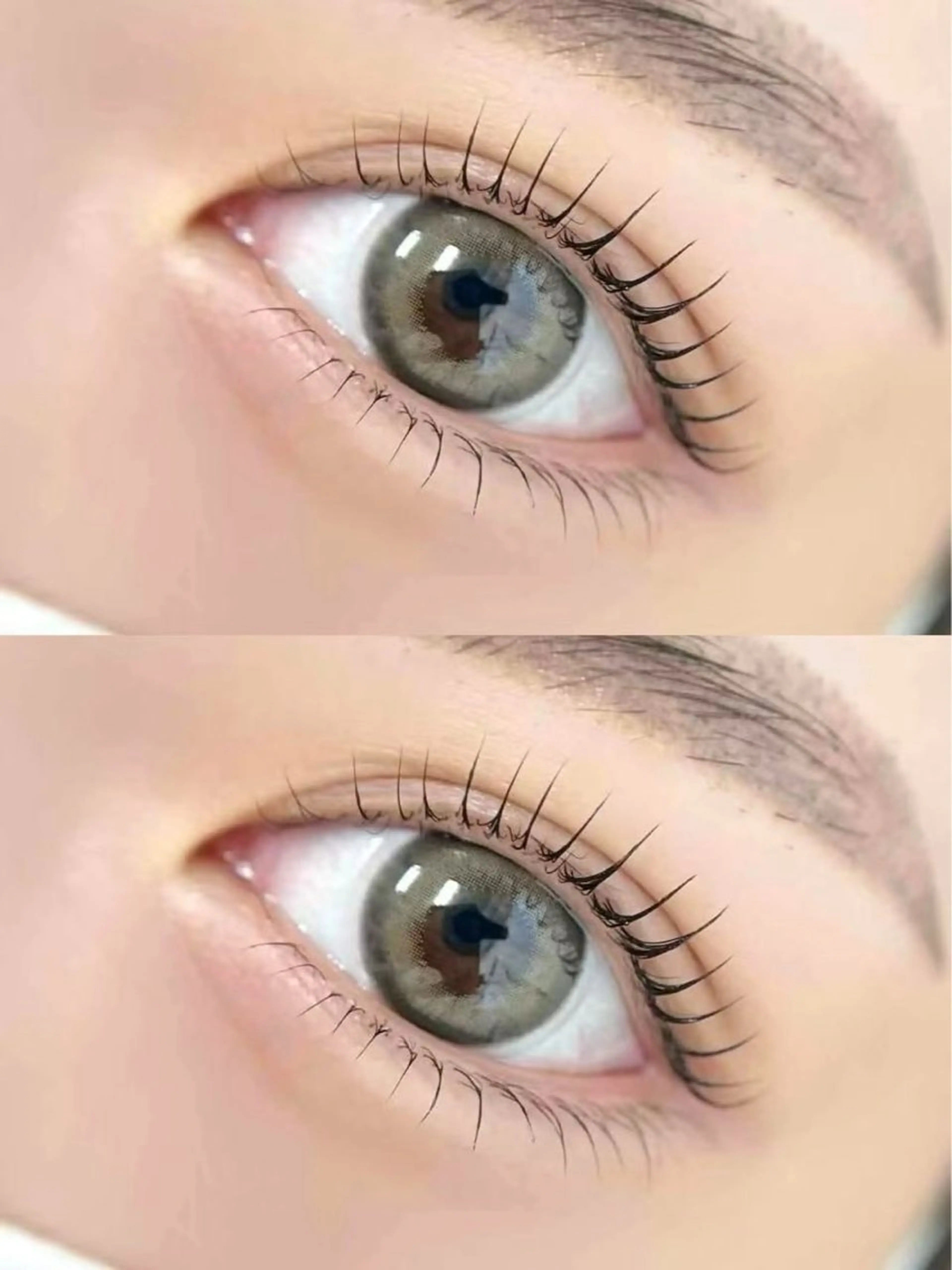 ラッシュリフト上下＋アイシャプー+コーティングの写真