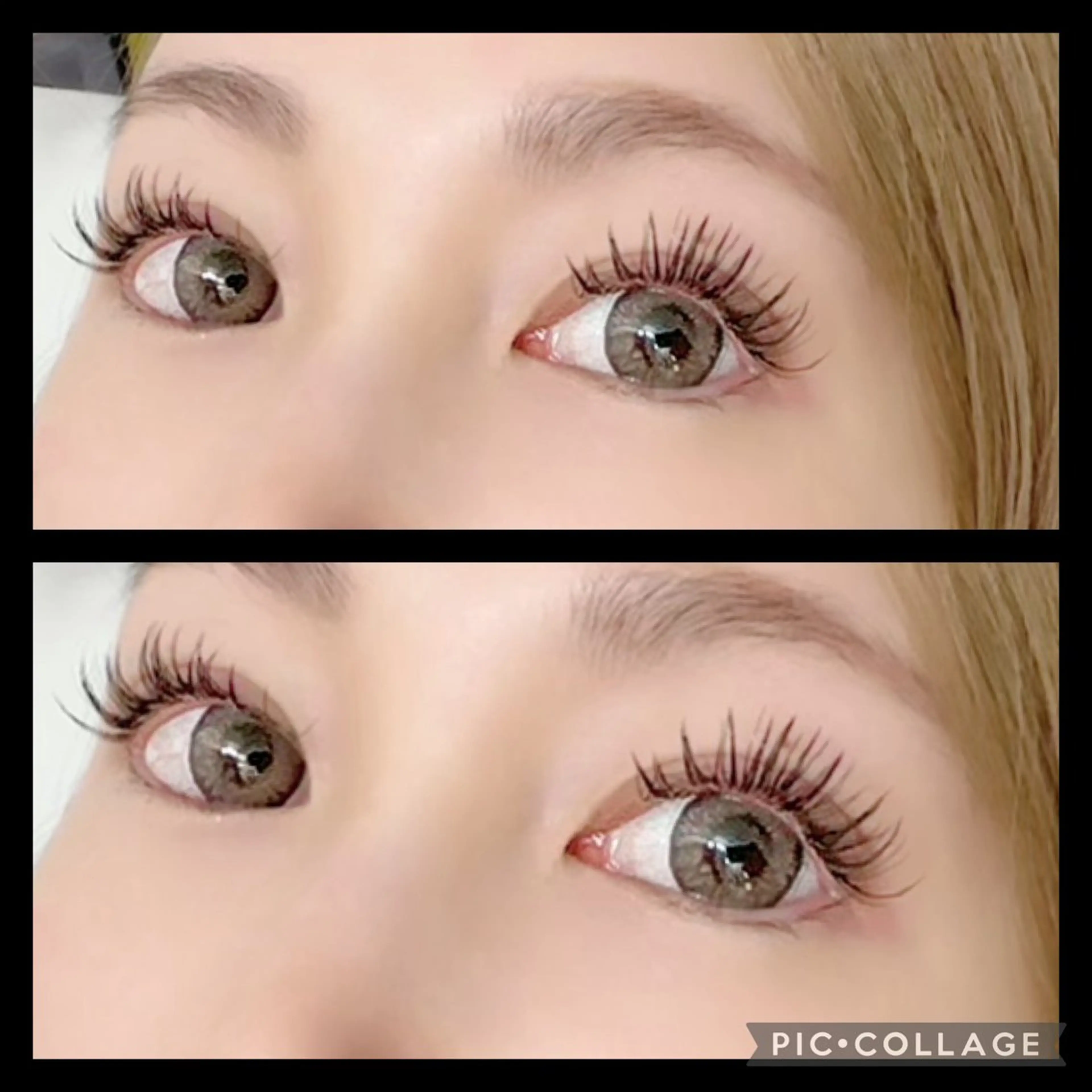 🌼🌿 【まつエクつけ放題❣️】 🌿🌼✨✨の写真