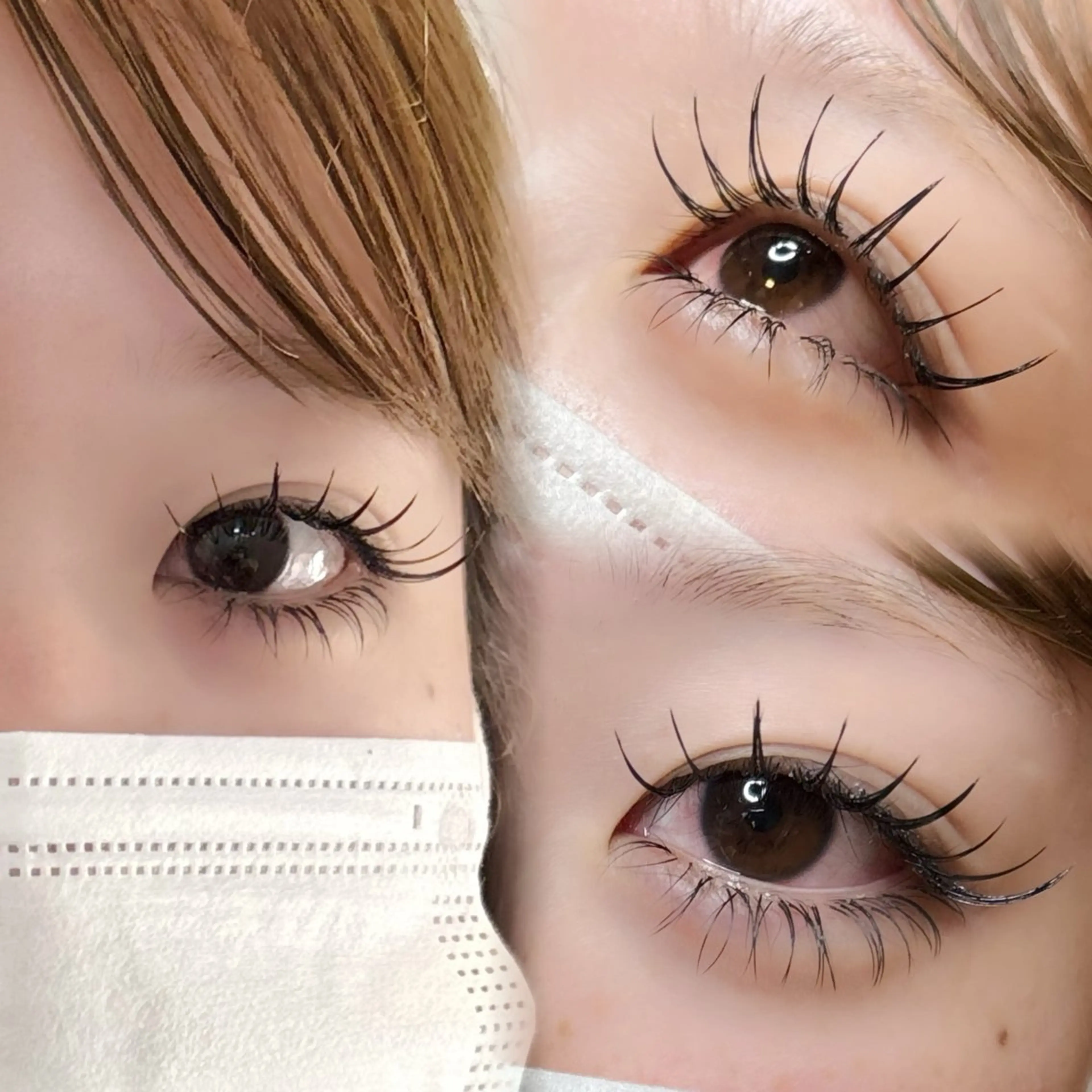 Premium Clasics 120本🪽✨の写真