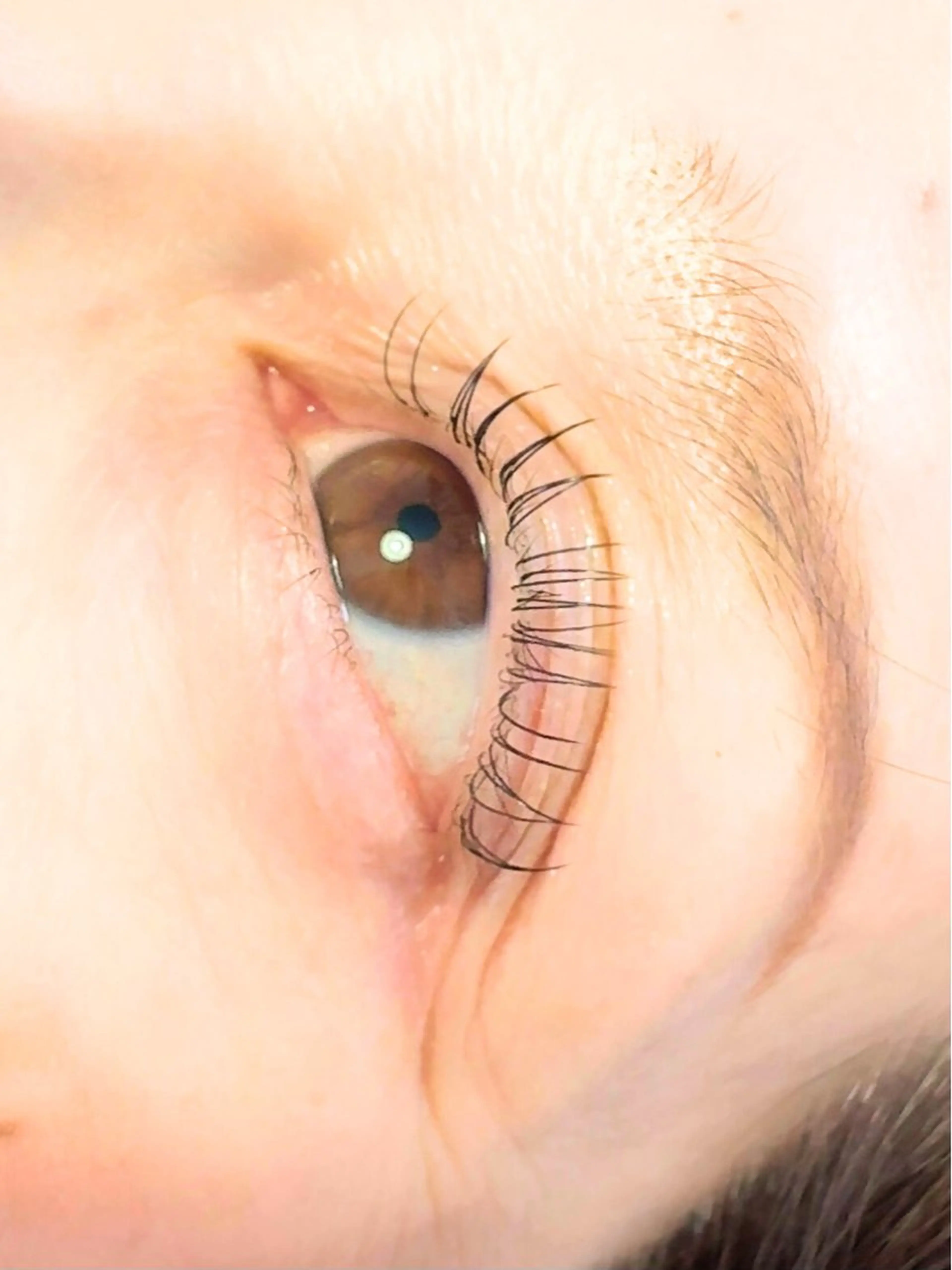 🌷LEDエクステ100本🌷(フラットラッシュ)オフ込み!!の写真