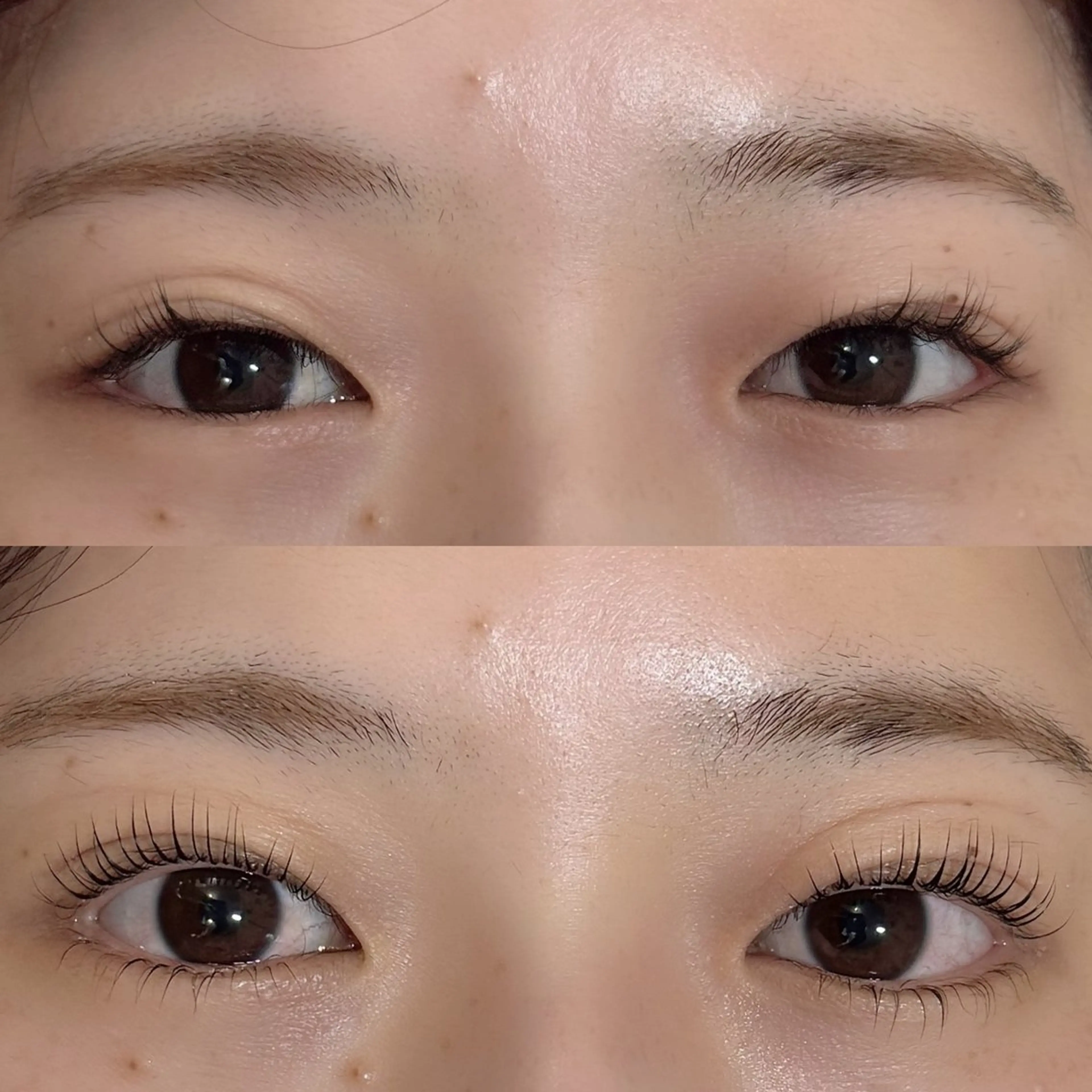 上下まつ毛パーマの写真