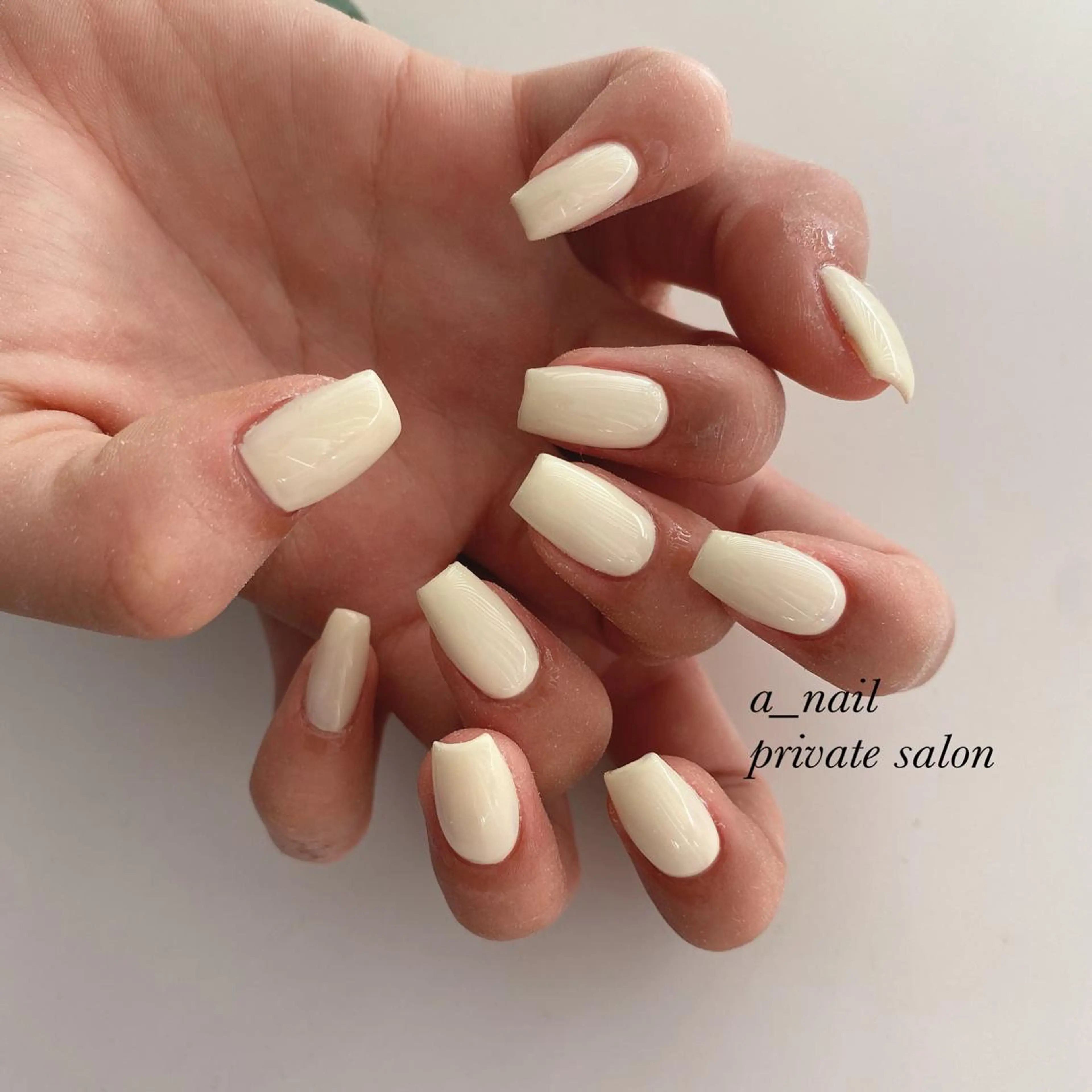 ネイル アニマル柄 フレンチネイル ジェルネイル 氷ネイル・うるうるネイル レース 菅 恵奈のネイルデザイン