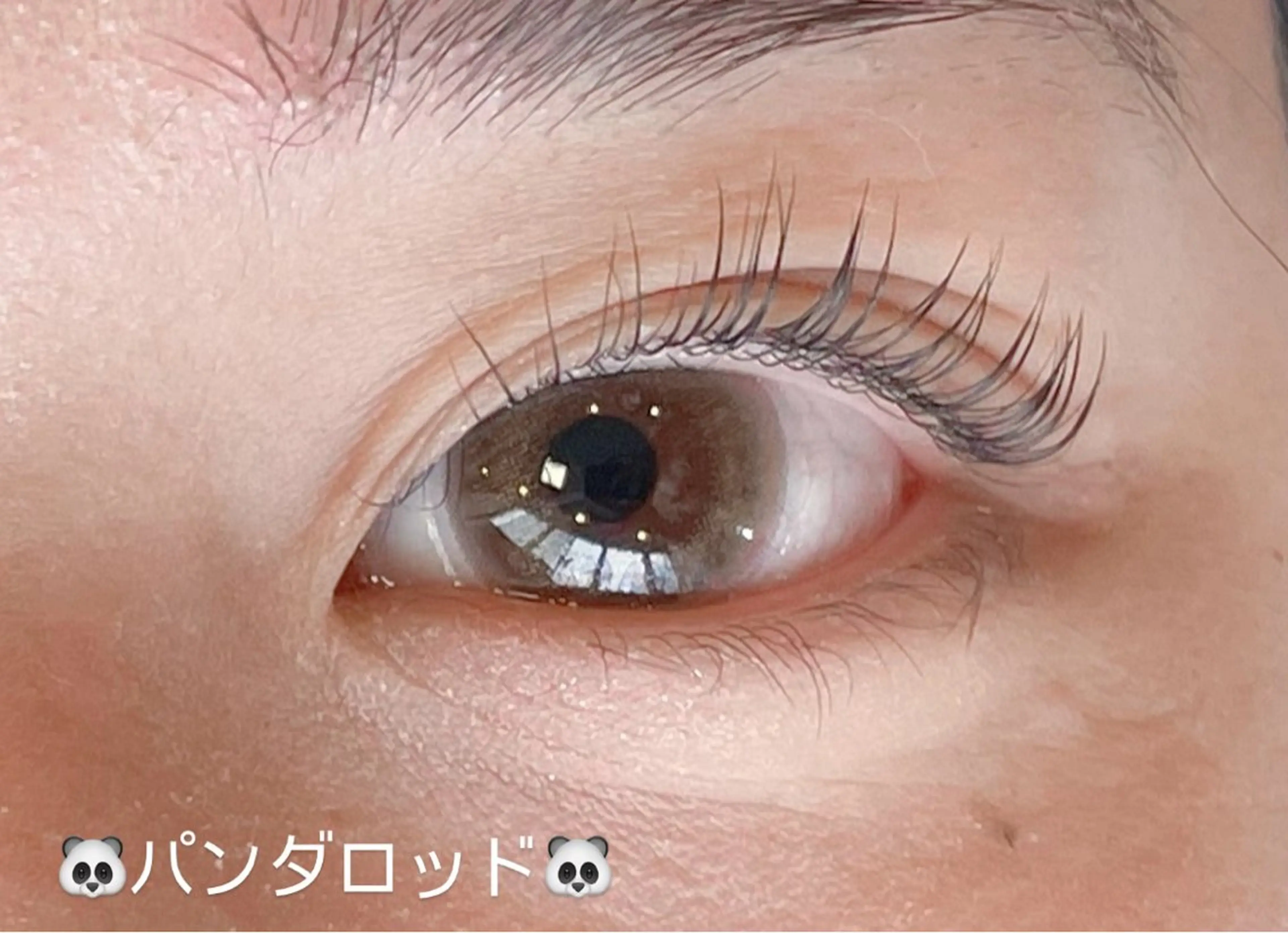 マツエク・マツパ Butterfly 平塚店　中島のマツエク・マツパデザイン