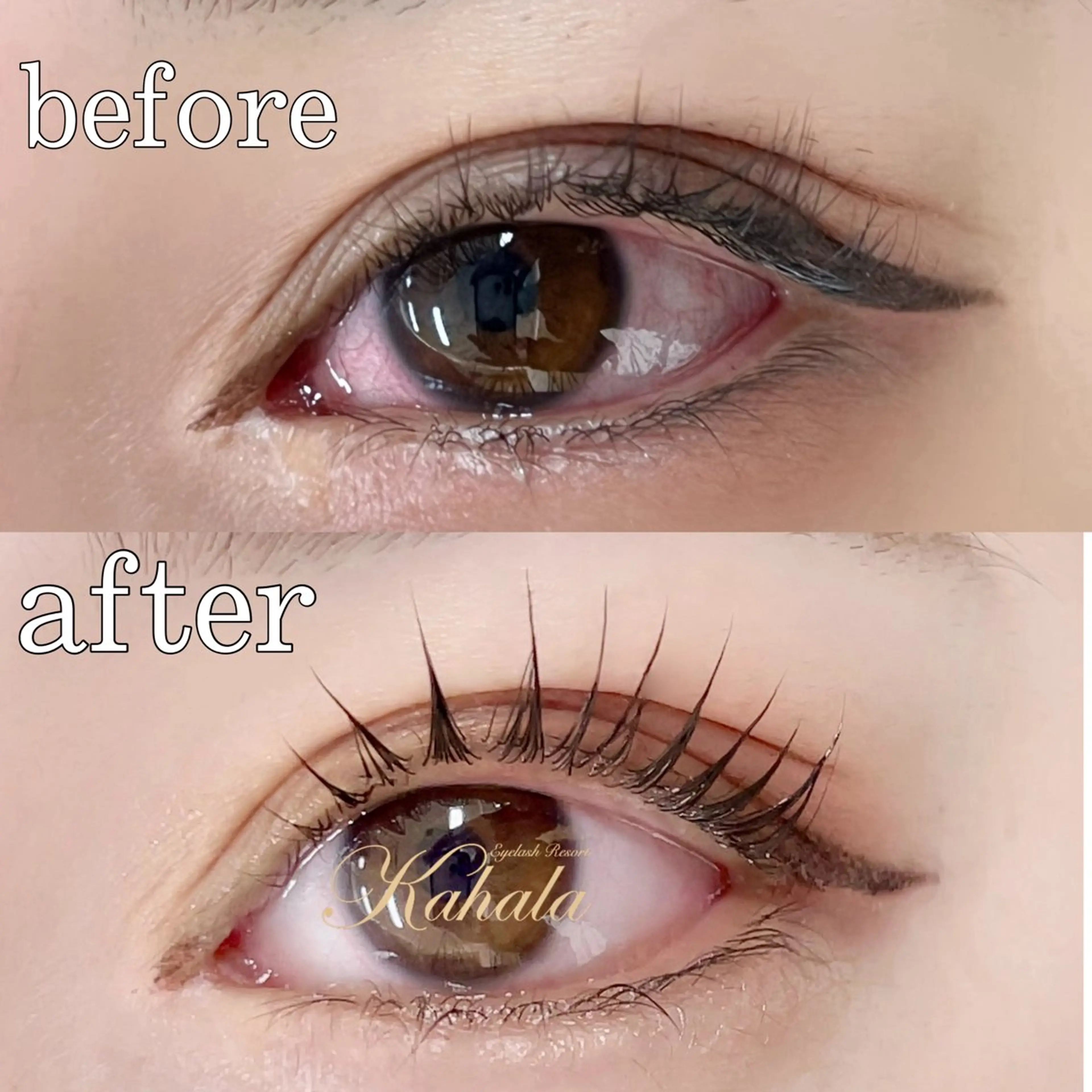 マツエク・マツパ R🌹 ⁺⊹˚.のマツエク・マツパデザイン