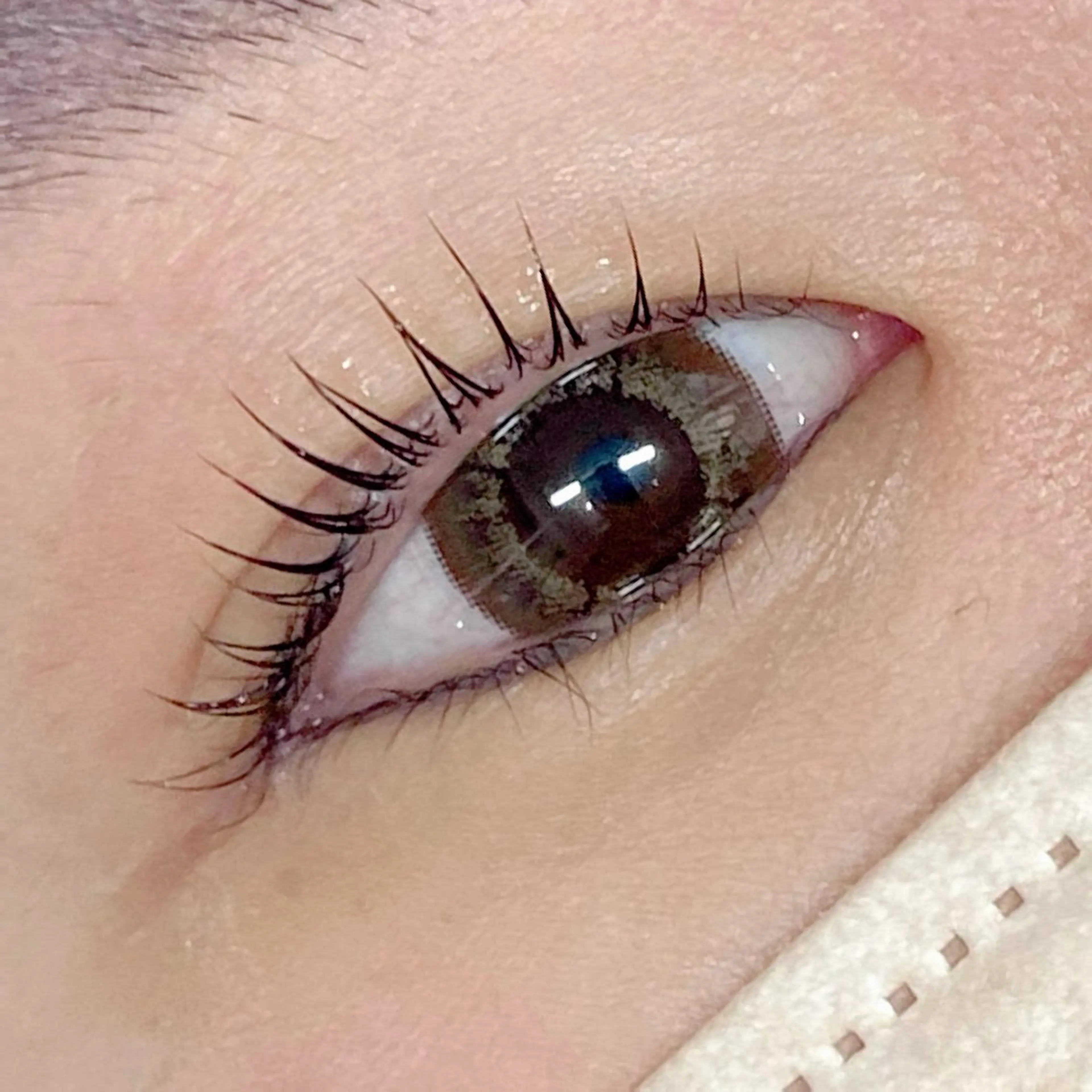 🟠再来🟠まつげパーマ🟠TR付き✨パリジェンヌ、ラッシュリフト、Uカールなの写真