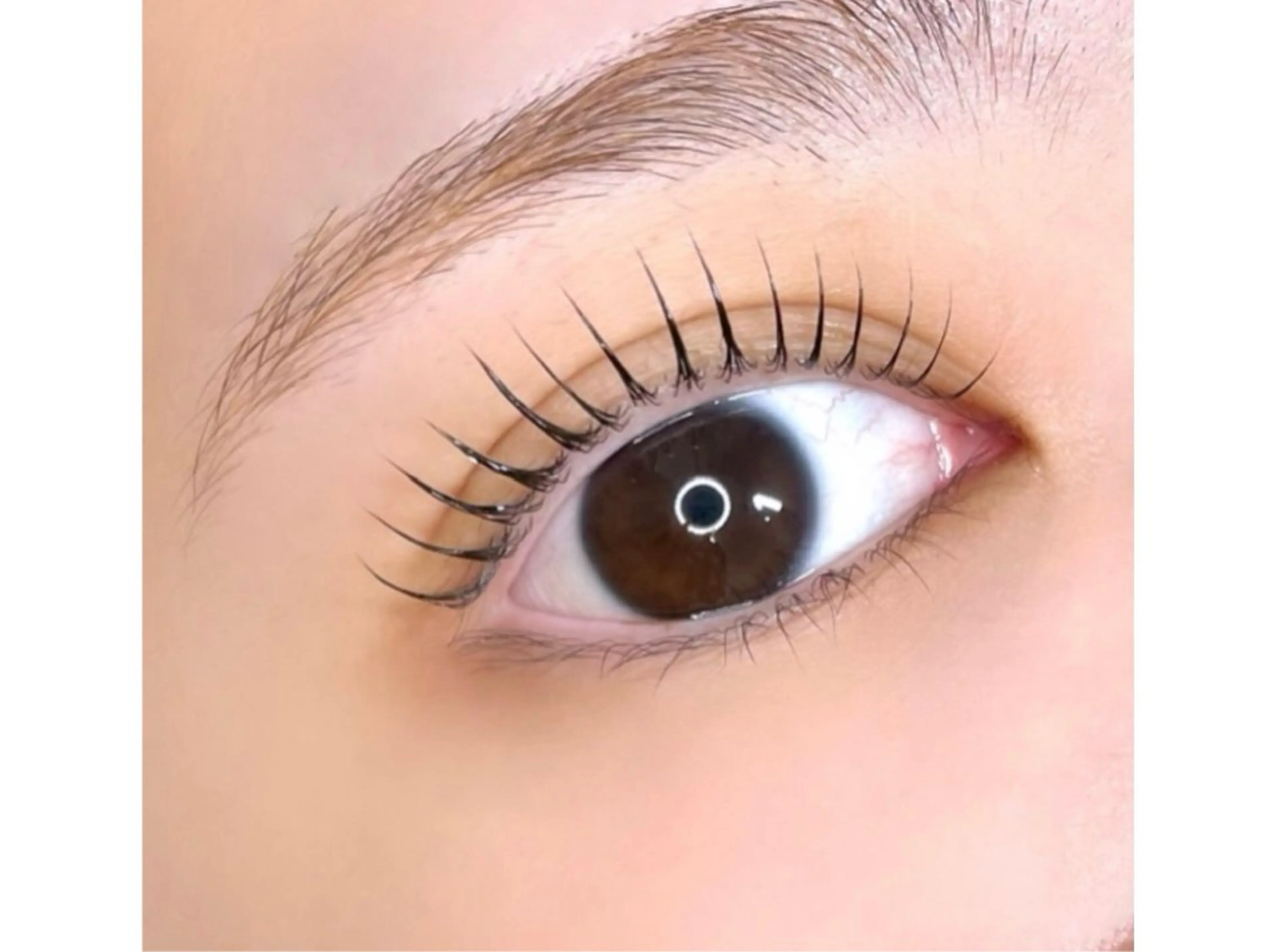 マツエク・マツパ Le'a first 大和八木店所属・Le'a firstのマツエク・マツパデザイン