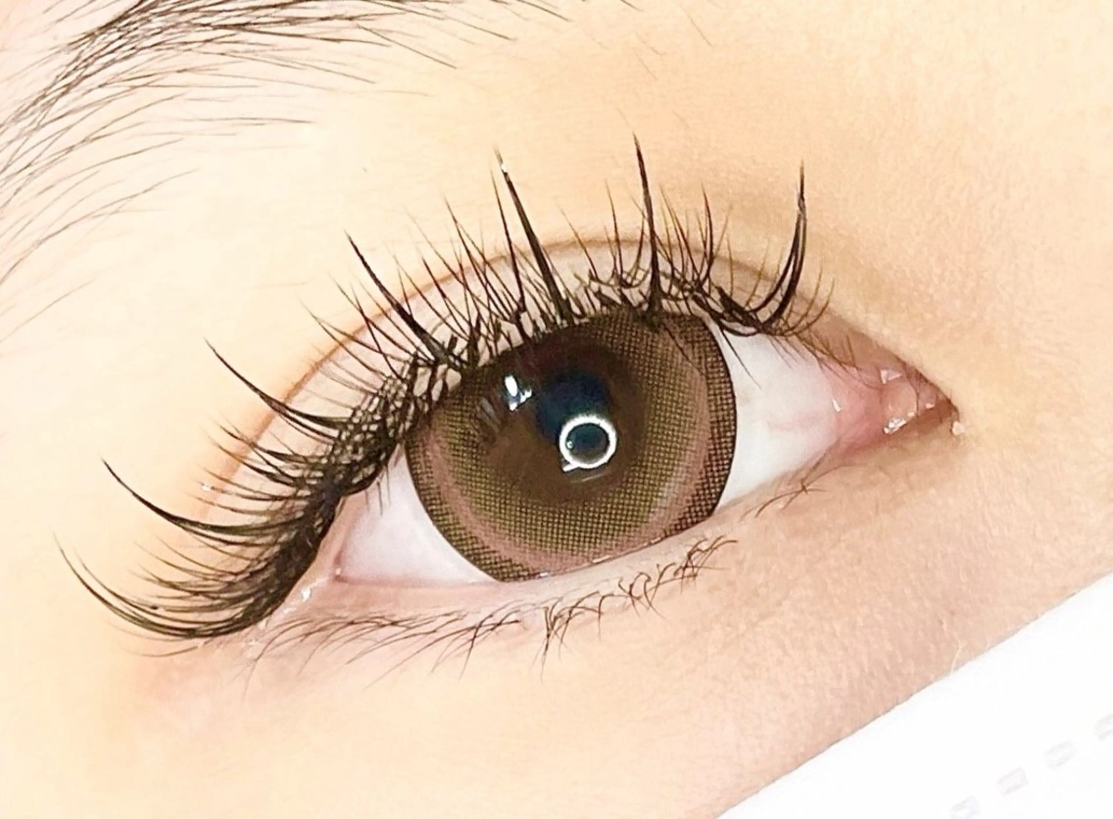 マツエク・マツパ フラットラッシュ ボリュームラッシュ ワンホンマツエク DIANA ·͜· Hamadaのマツエク・マツパデザイン