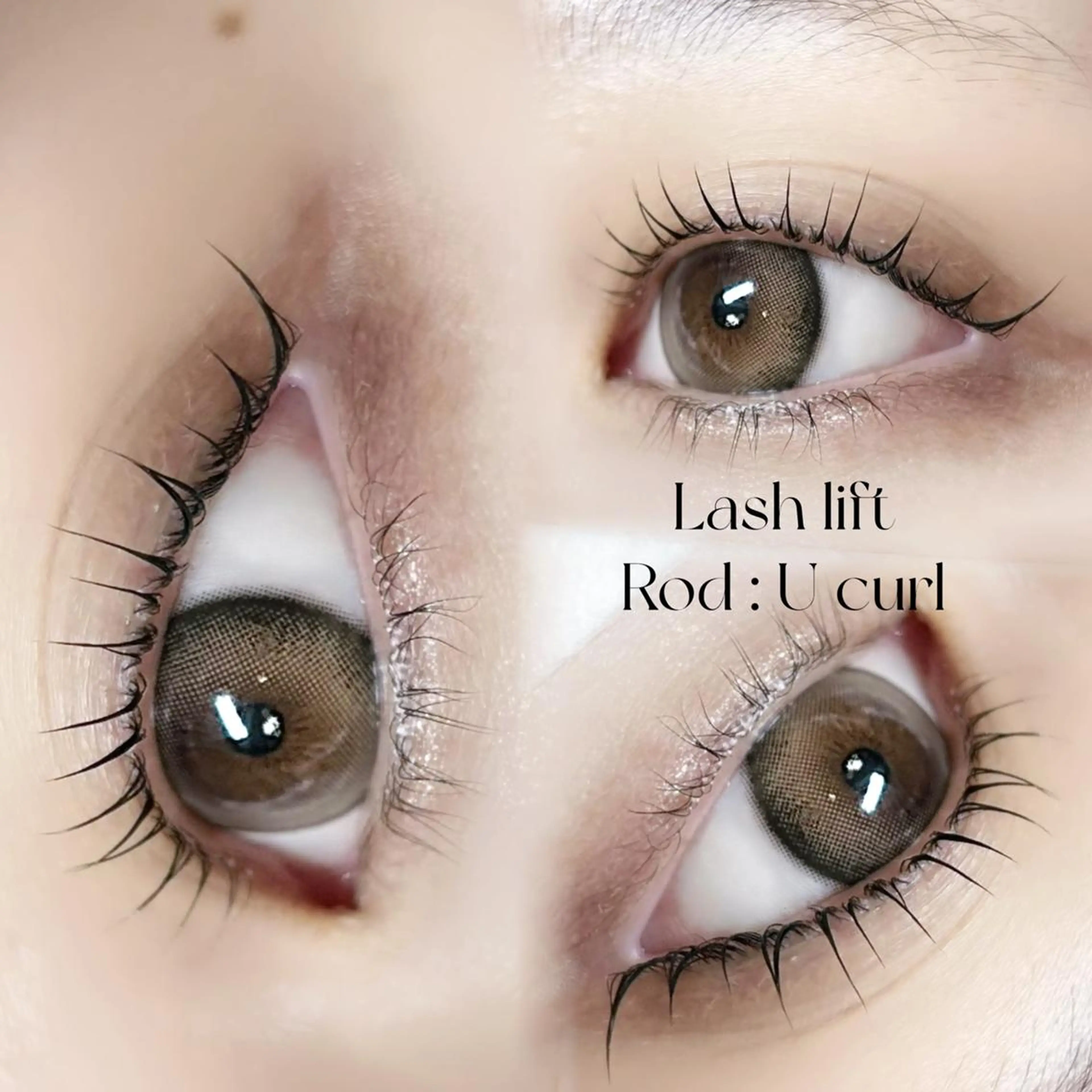 【ご新規様限定】パリジェンヌラッシュリフトorラッシュリフト“オフ無し”の写真