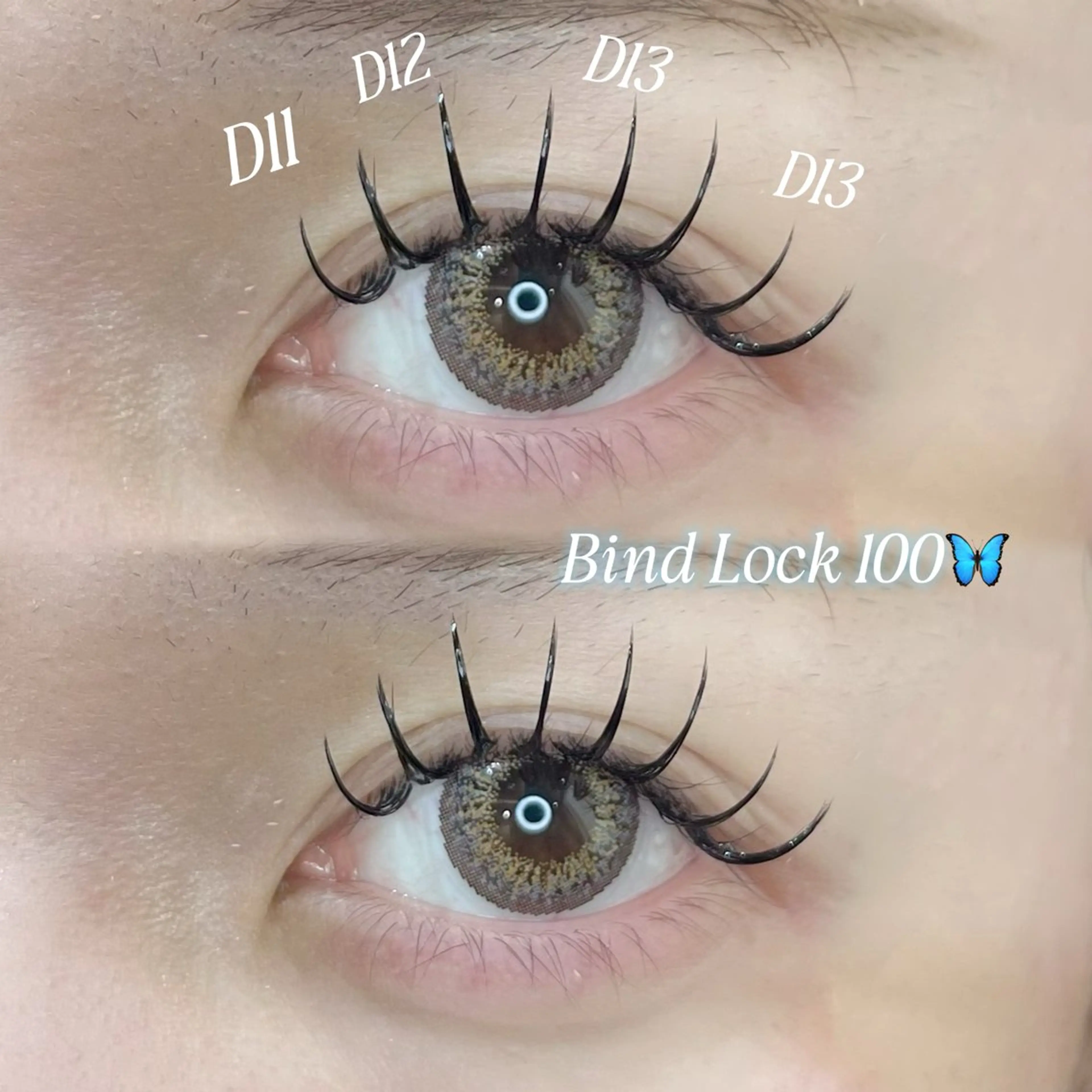 💫もち抜群💫バインドロック100束(再来+330円)の写真