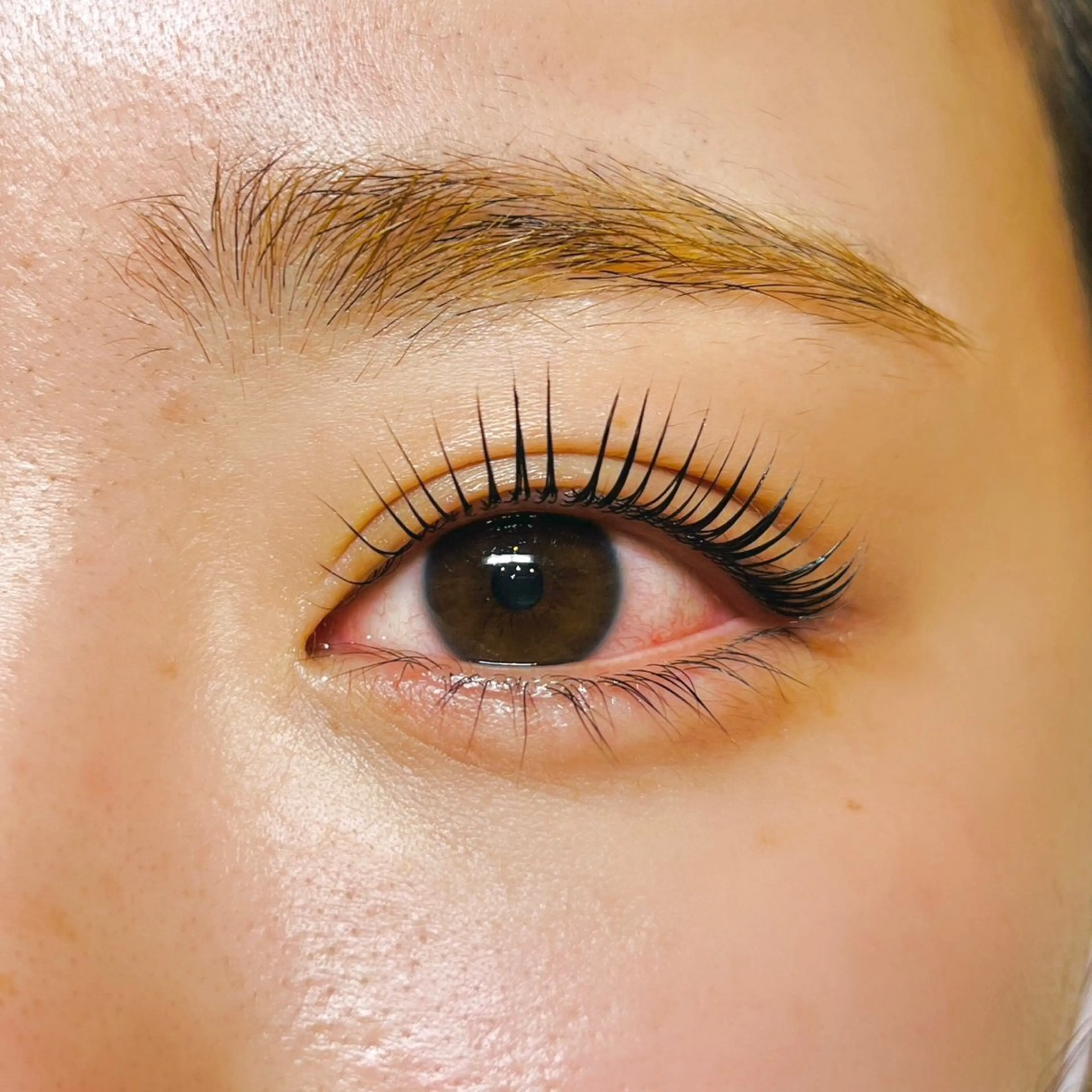 ãããšã¯ã»ããã Isogai ðžð¯ï»¿ã®ãããšã¯ã»ããããã¶ã€ã³