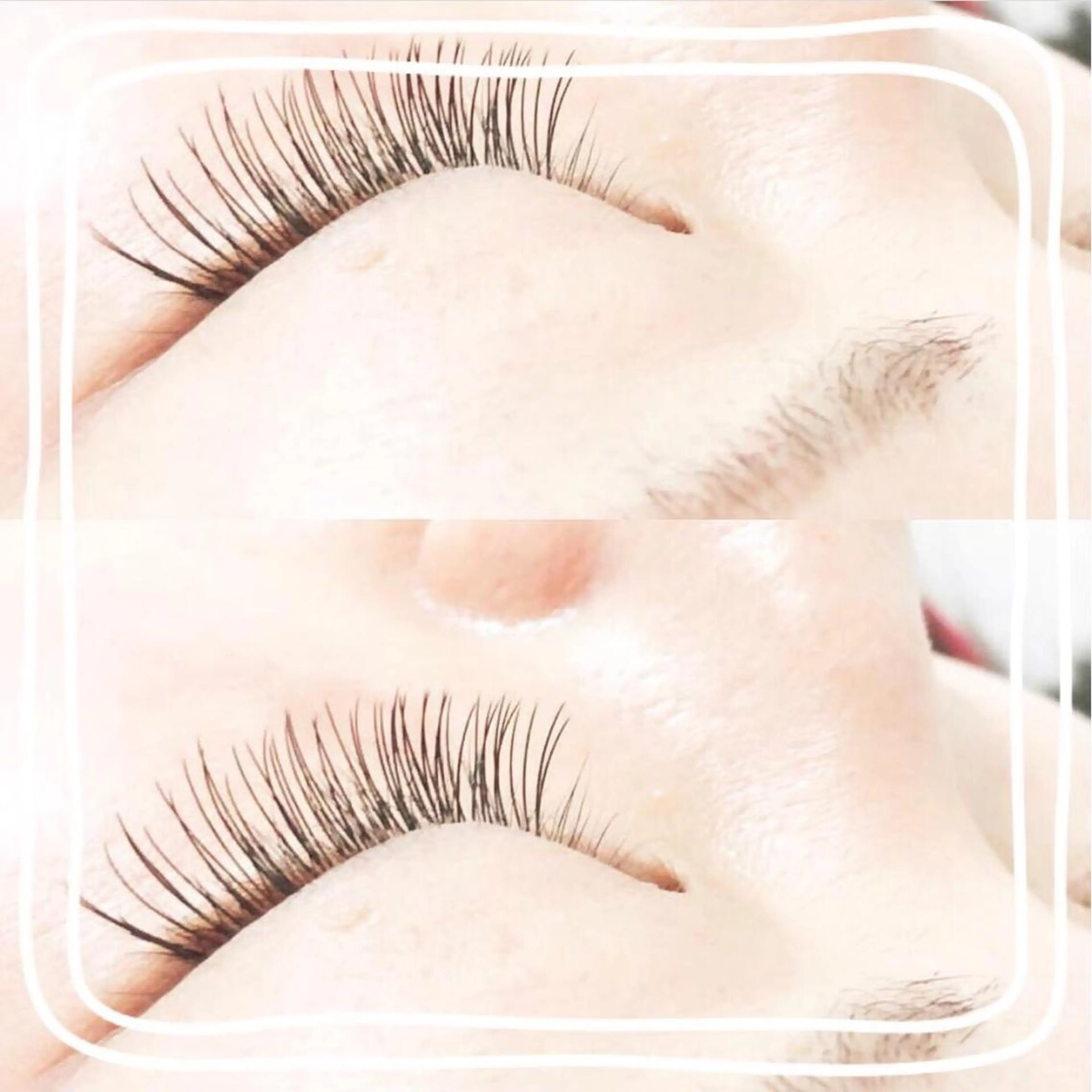 【minimo限定!!】🫧高級セーブル🫧100本の写真