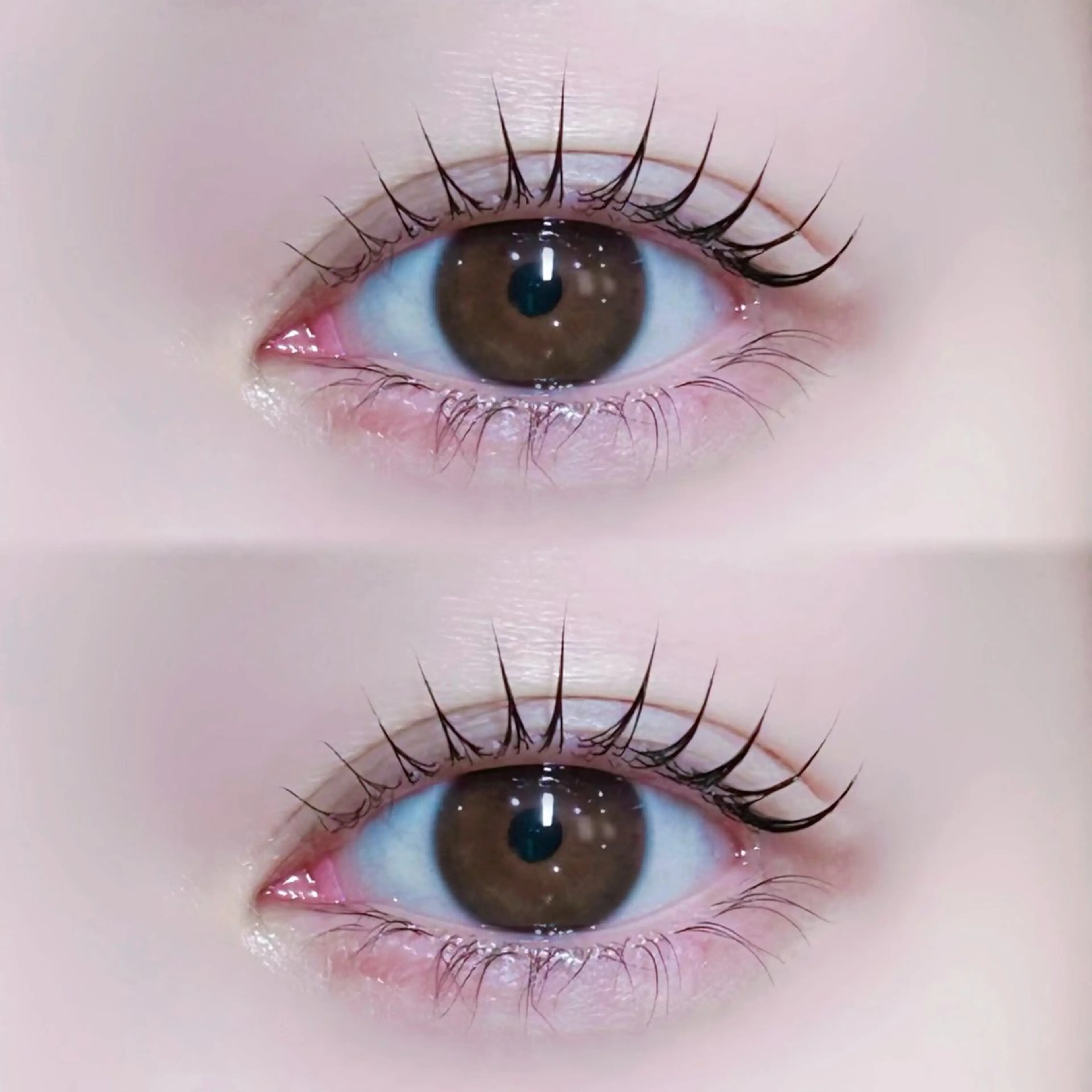 【当日ご予約限定】選べる次世代ラッシュリフト マツエクオフ別途550円の写真