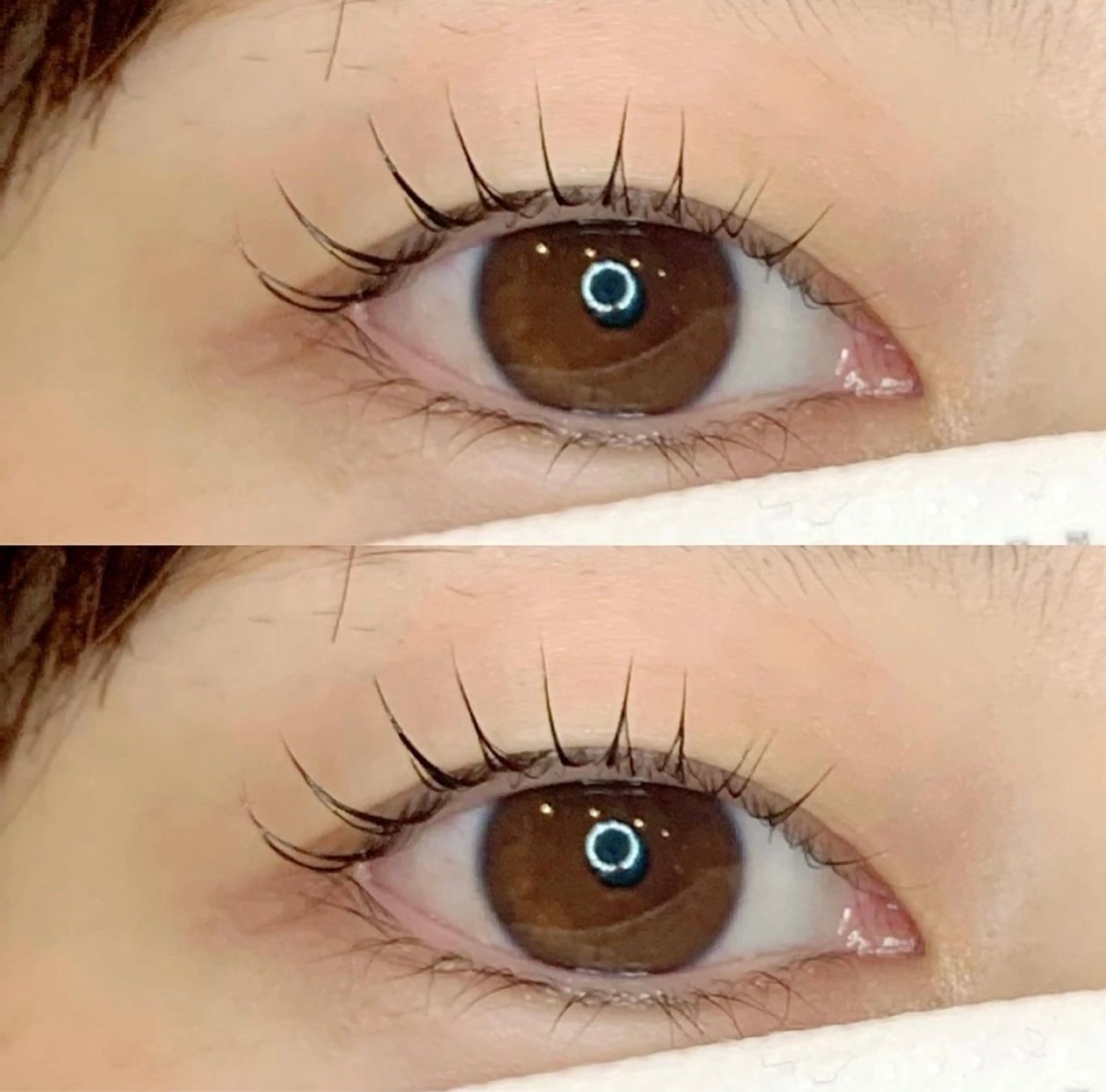 マツエク・マツパ nowy所属・eyelash✨ 『nowy』渋谷のマツエク・マツパデザイン