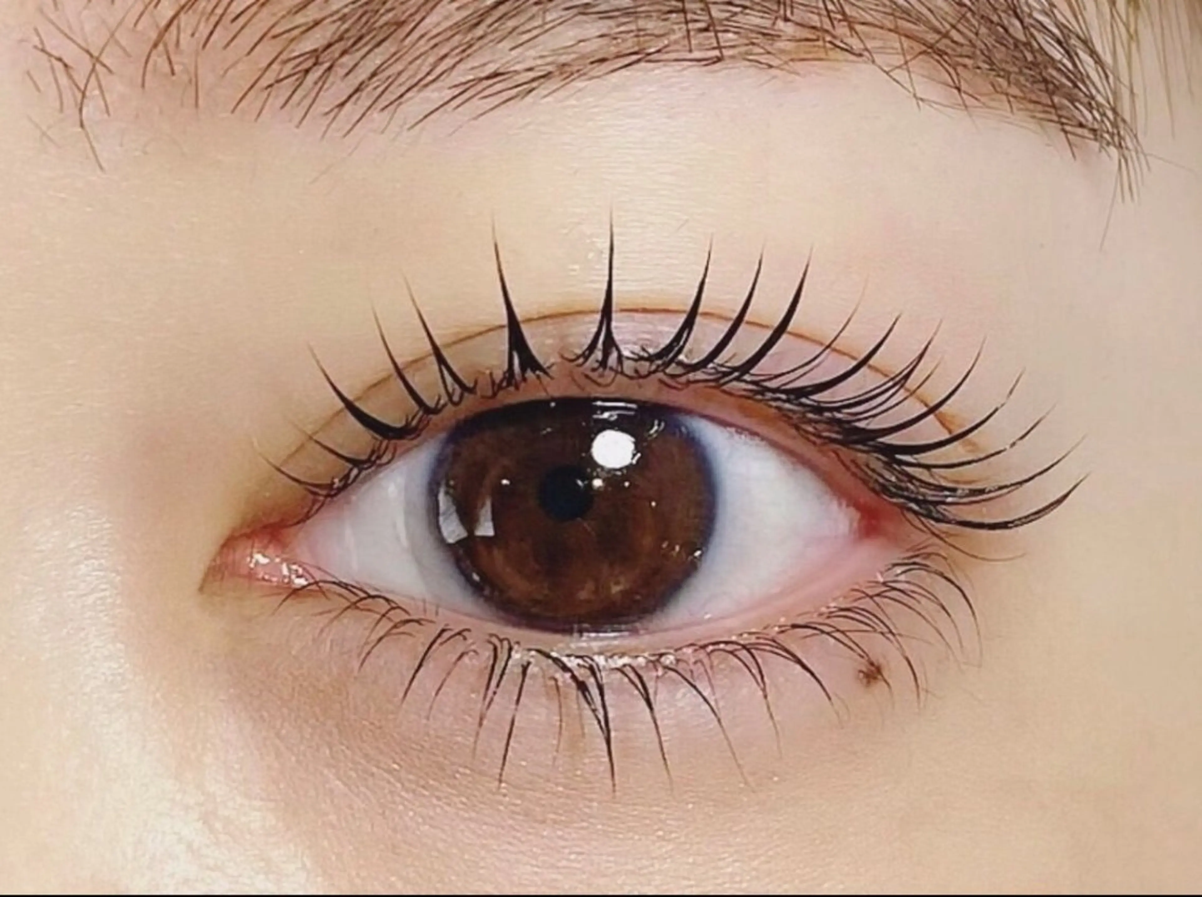 3/19 15:00限定【上まつげパーマ】トリートメント付き🆙♡の写真