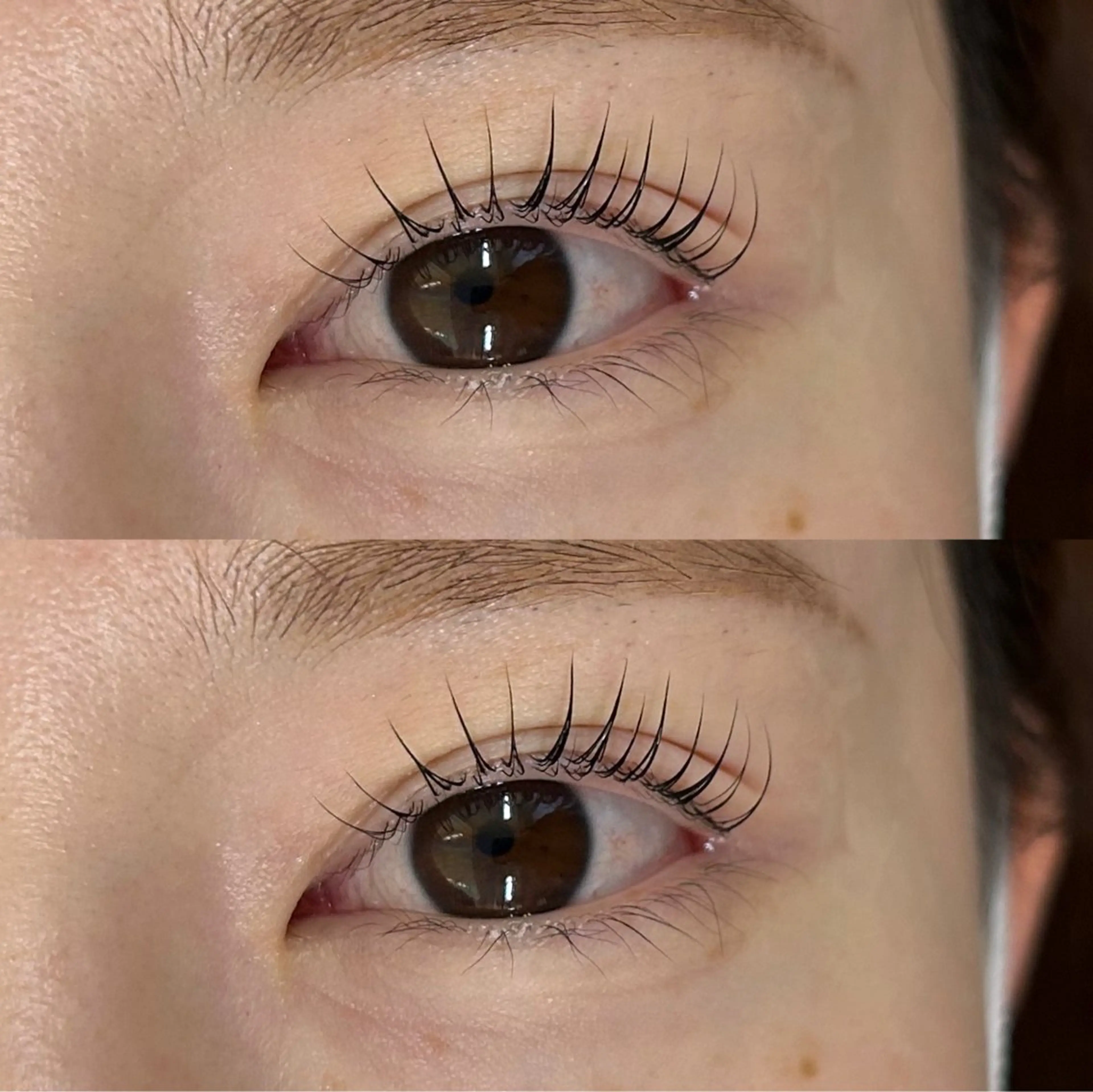 マツエク・マツパ パリジェンヌラッシュリフト サクラブロウ京橋 増田の眉毛・アイブロウイメージ